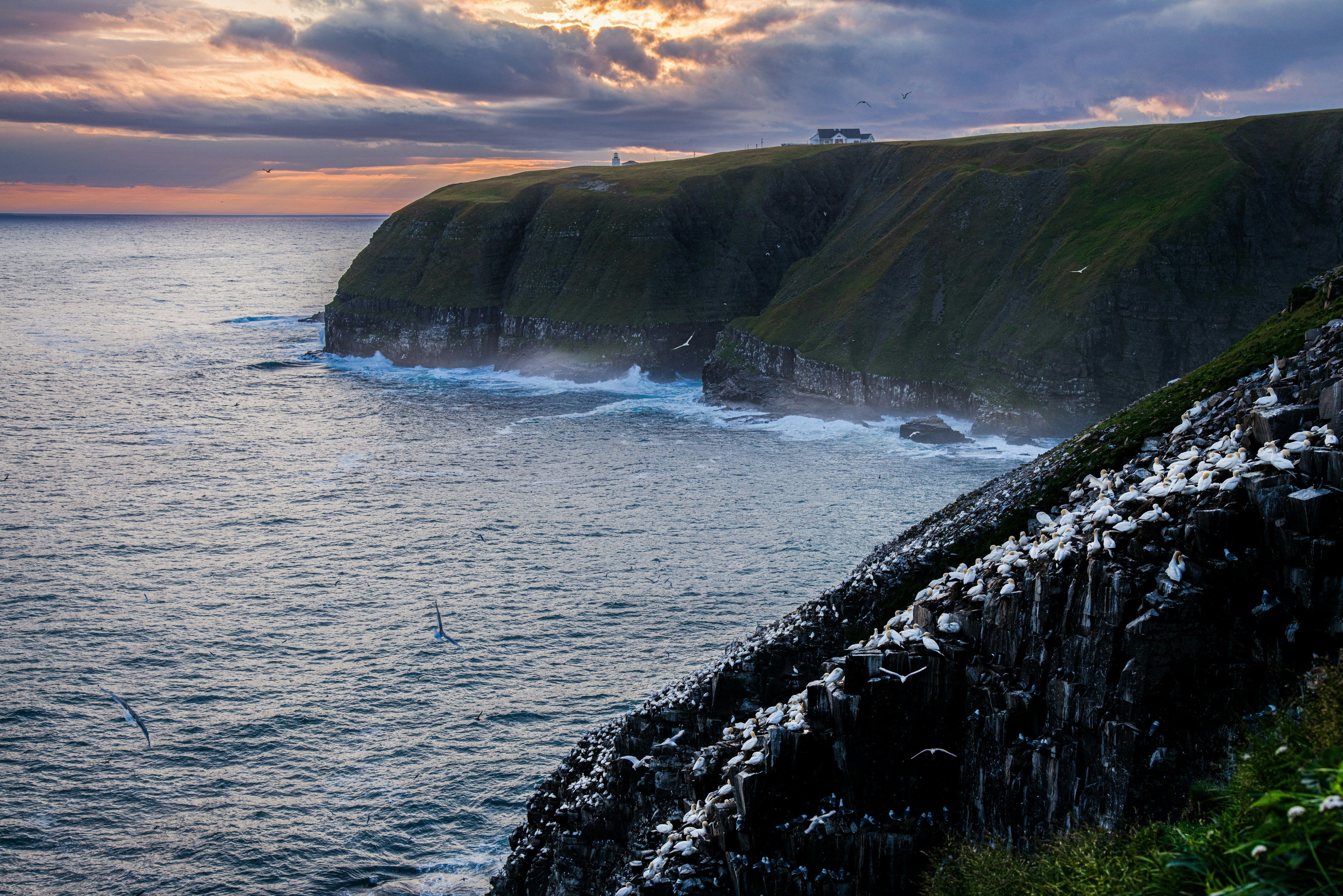 Waves crash against a rugged cliffside at sunset.