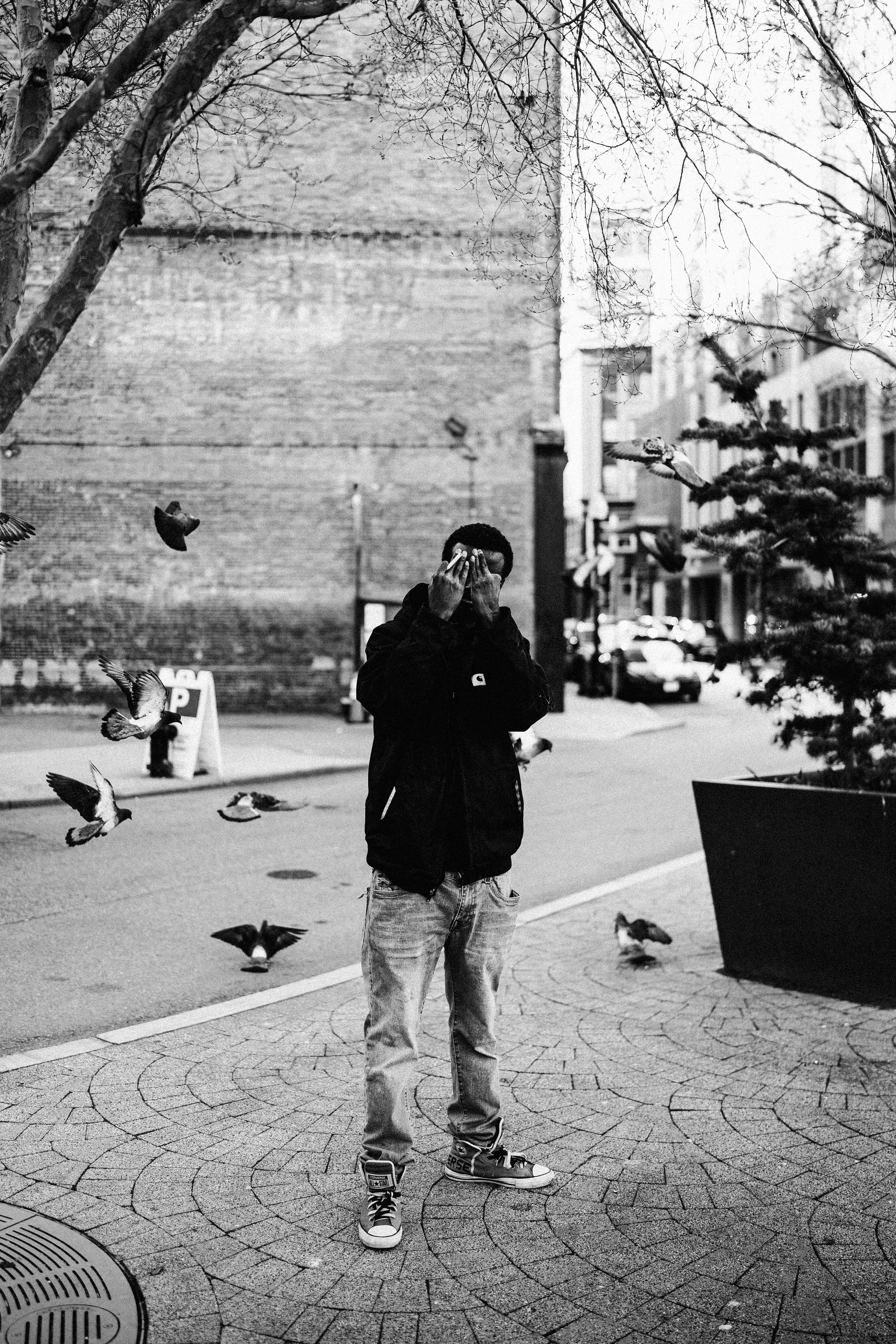 Man takes picture of pigeons in city street