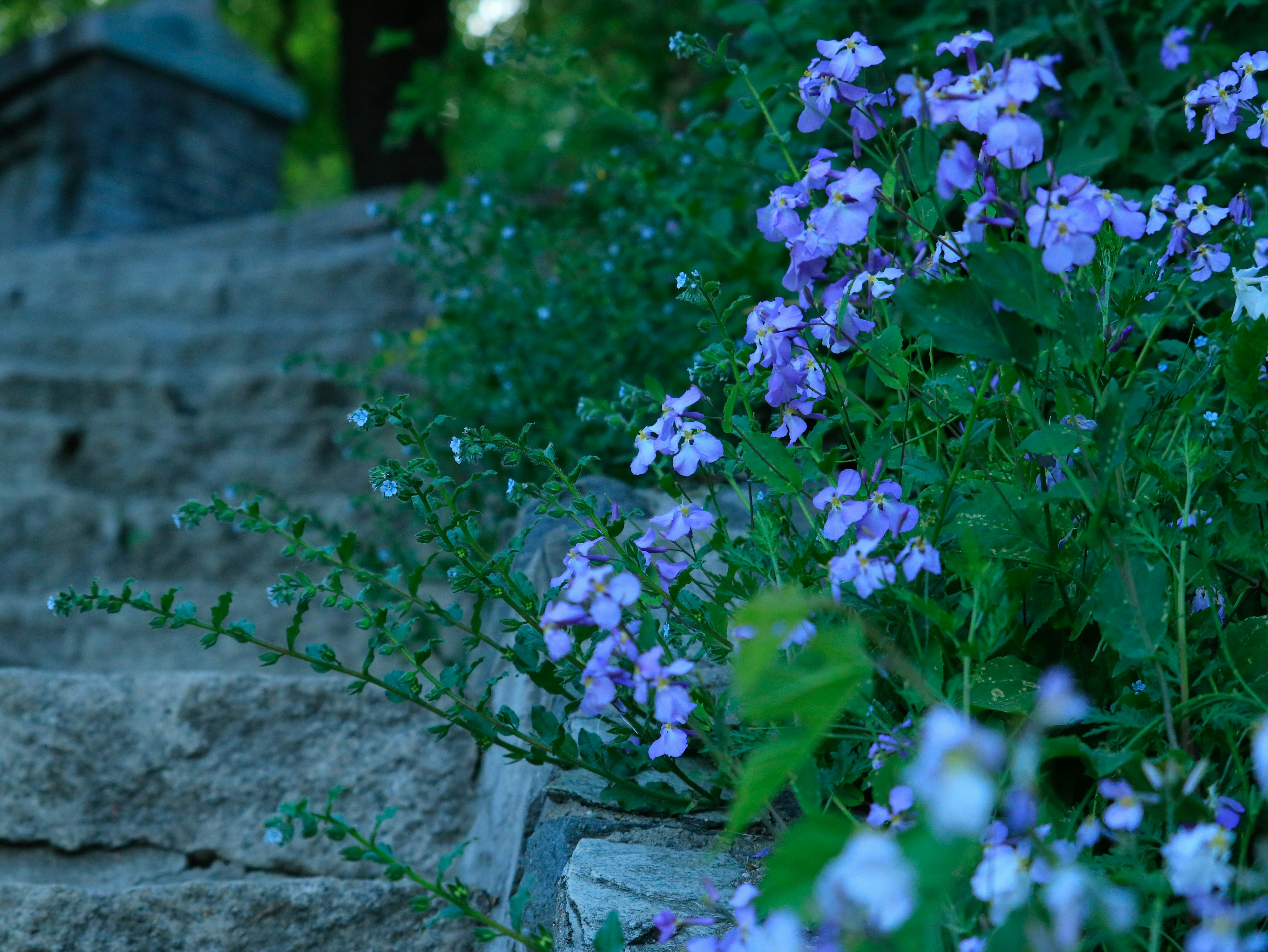 Natural Stone Stairs: Nosing Details, Slip Resistance and Stone Selection