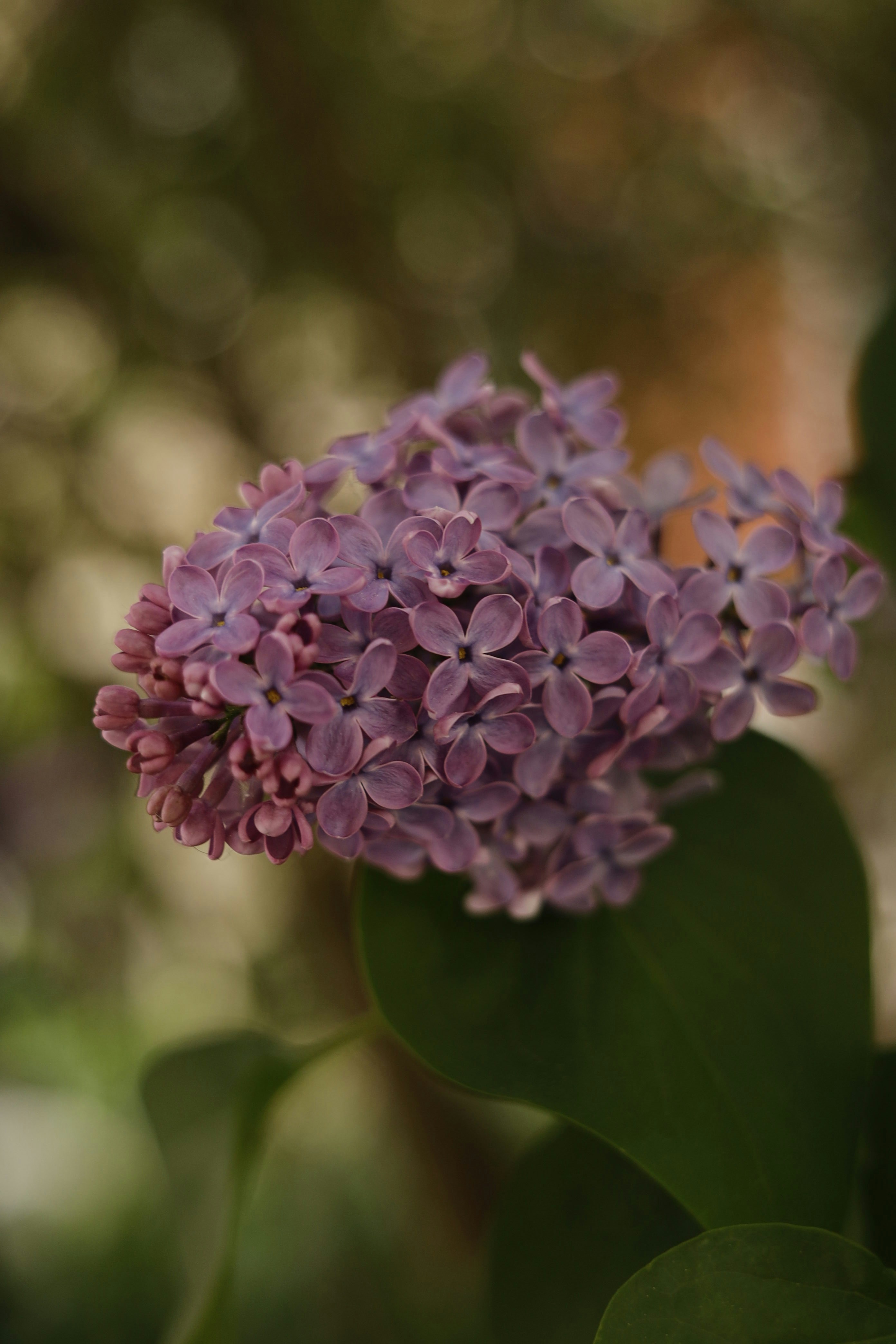 Seasonal Fragrance Guide: The Best Perfumes for Summer & Winter | Mon Mélange