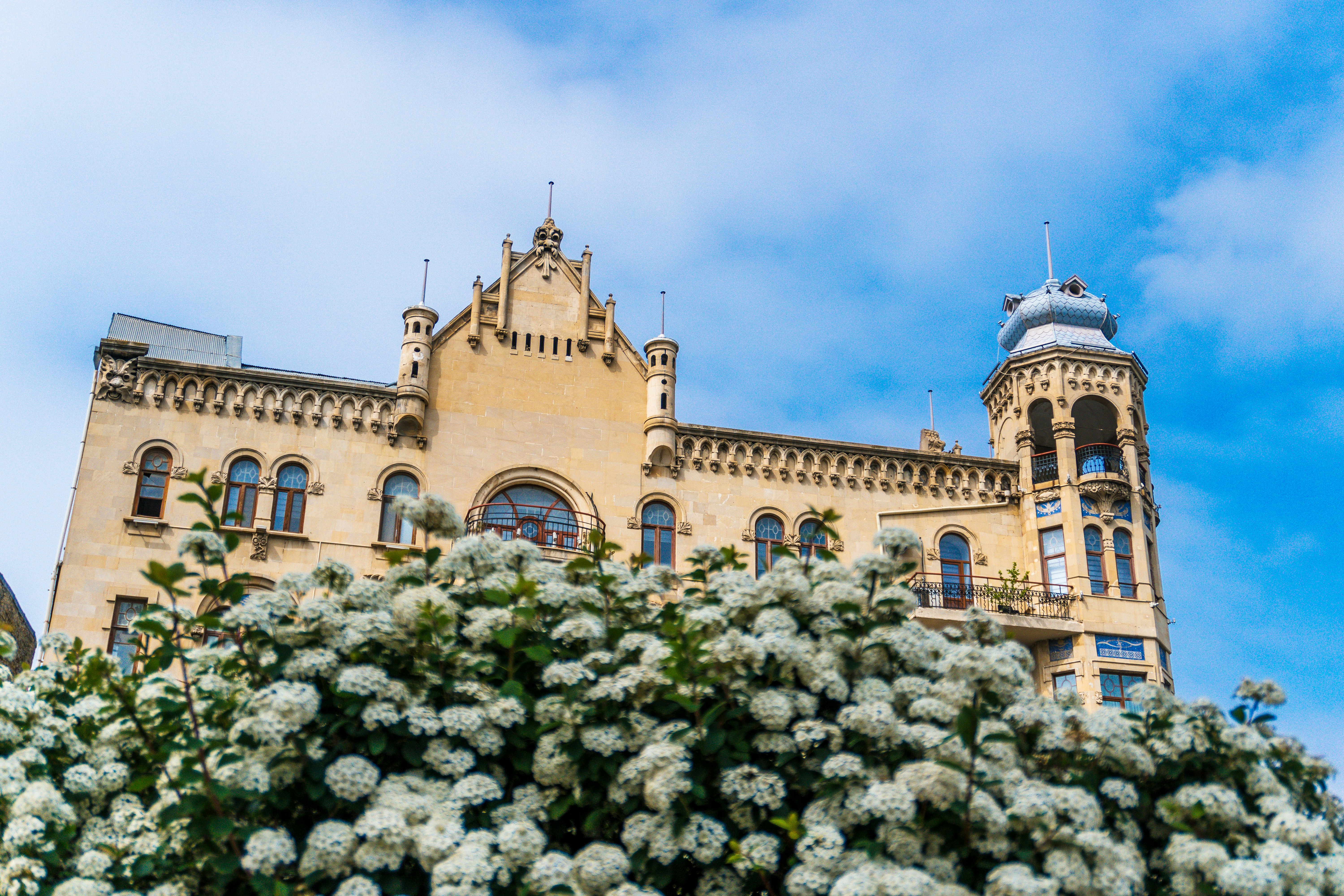 Ornate building behind white flowering bushes under blue sky
