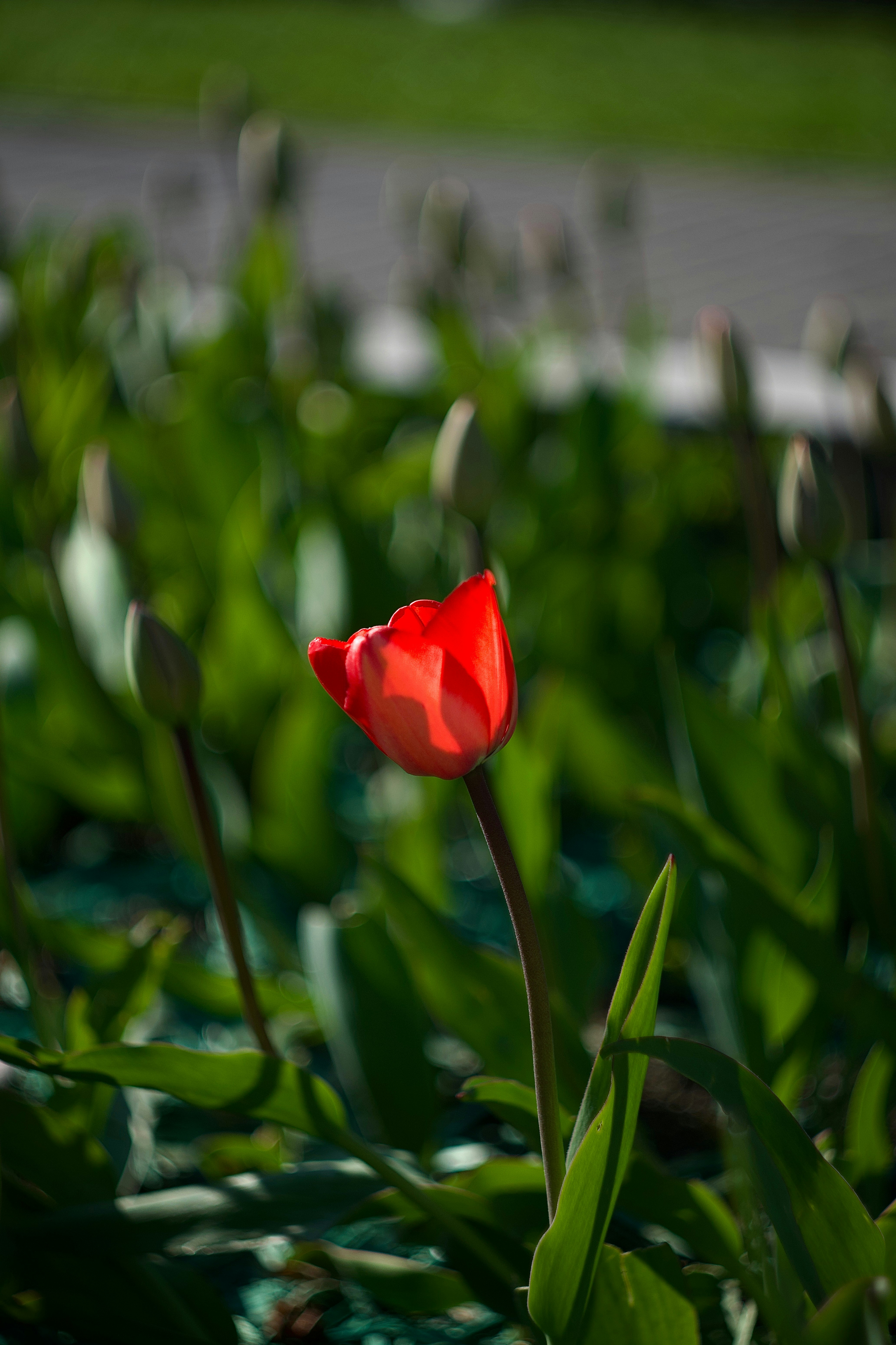 Photo by lifedetails