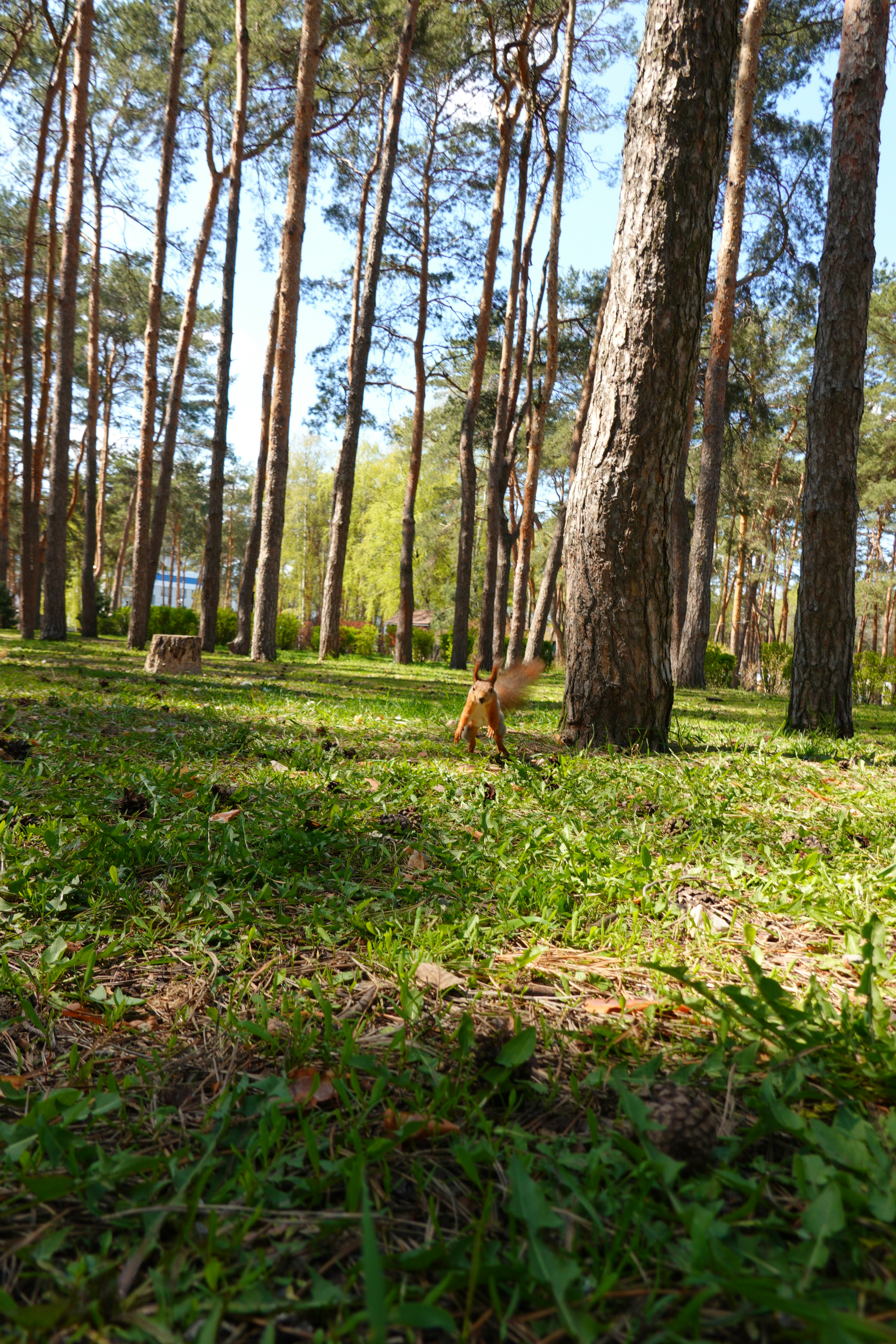 Photo by stepanseverinoff