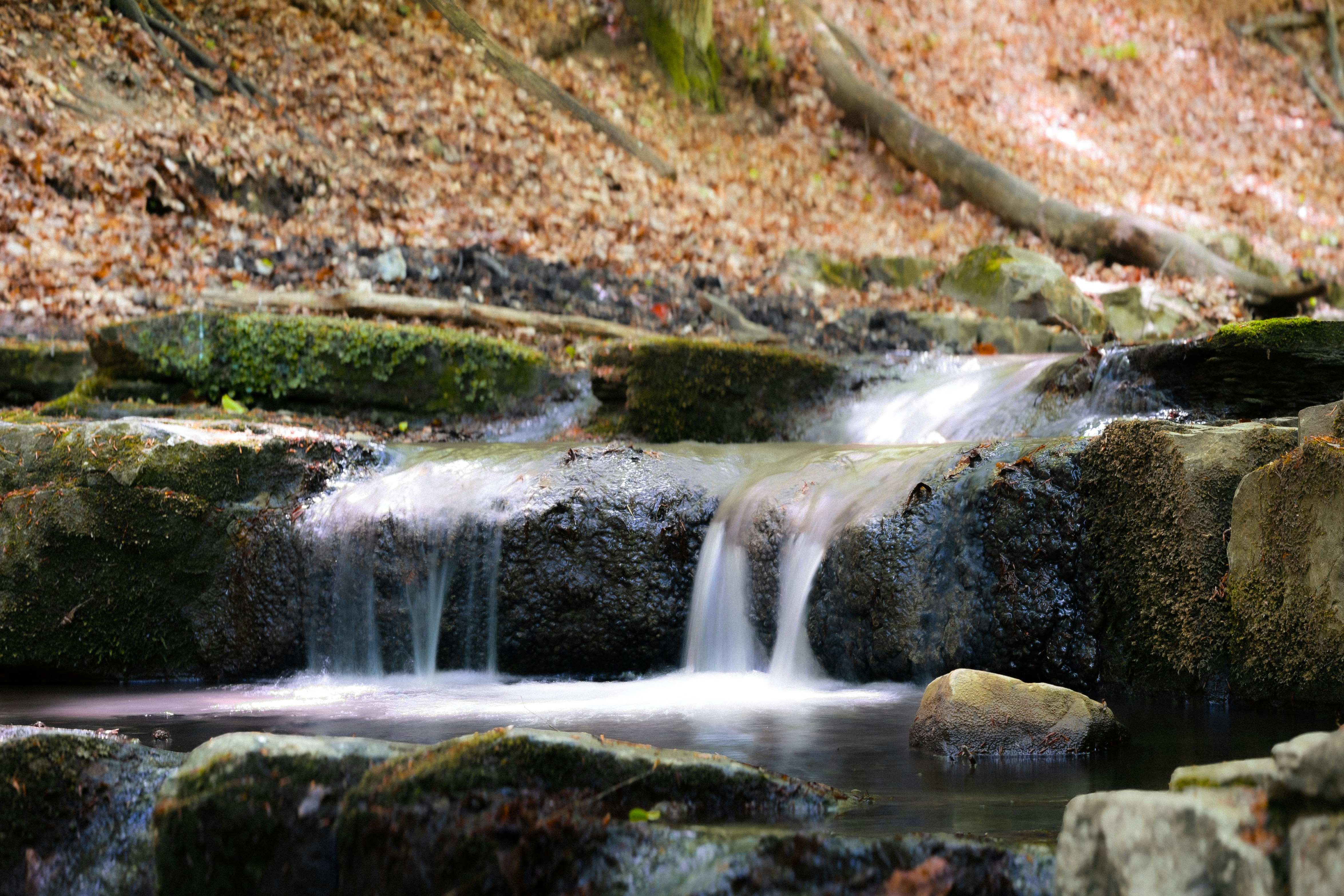 Photo by skyfonix