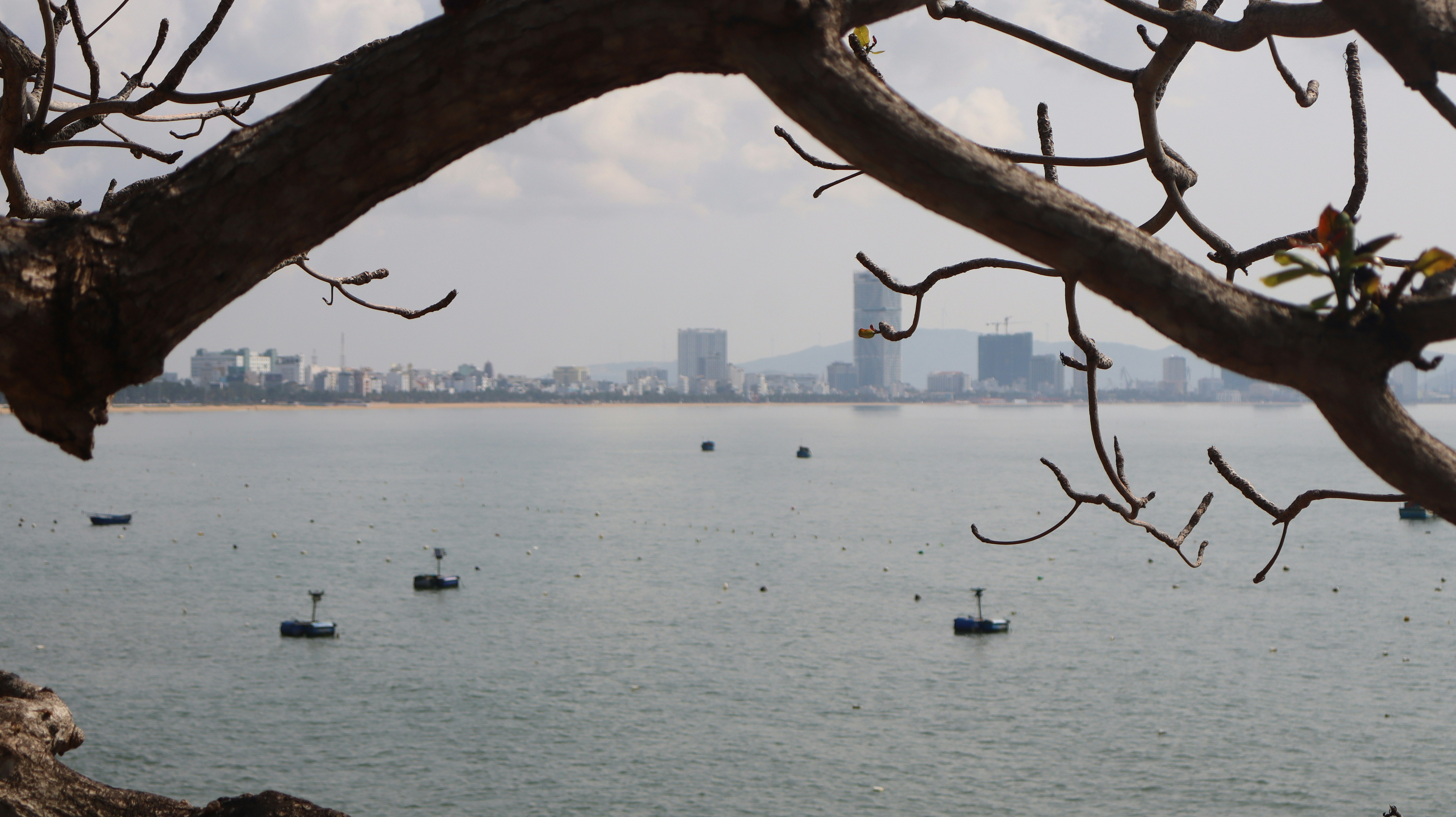 Photo by hoainamish