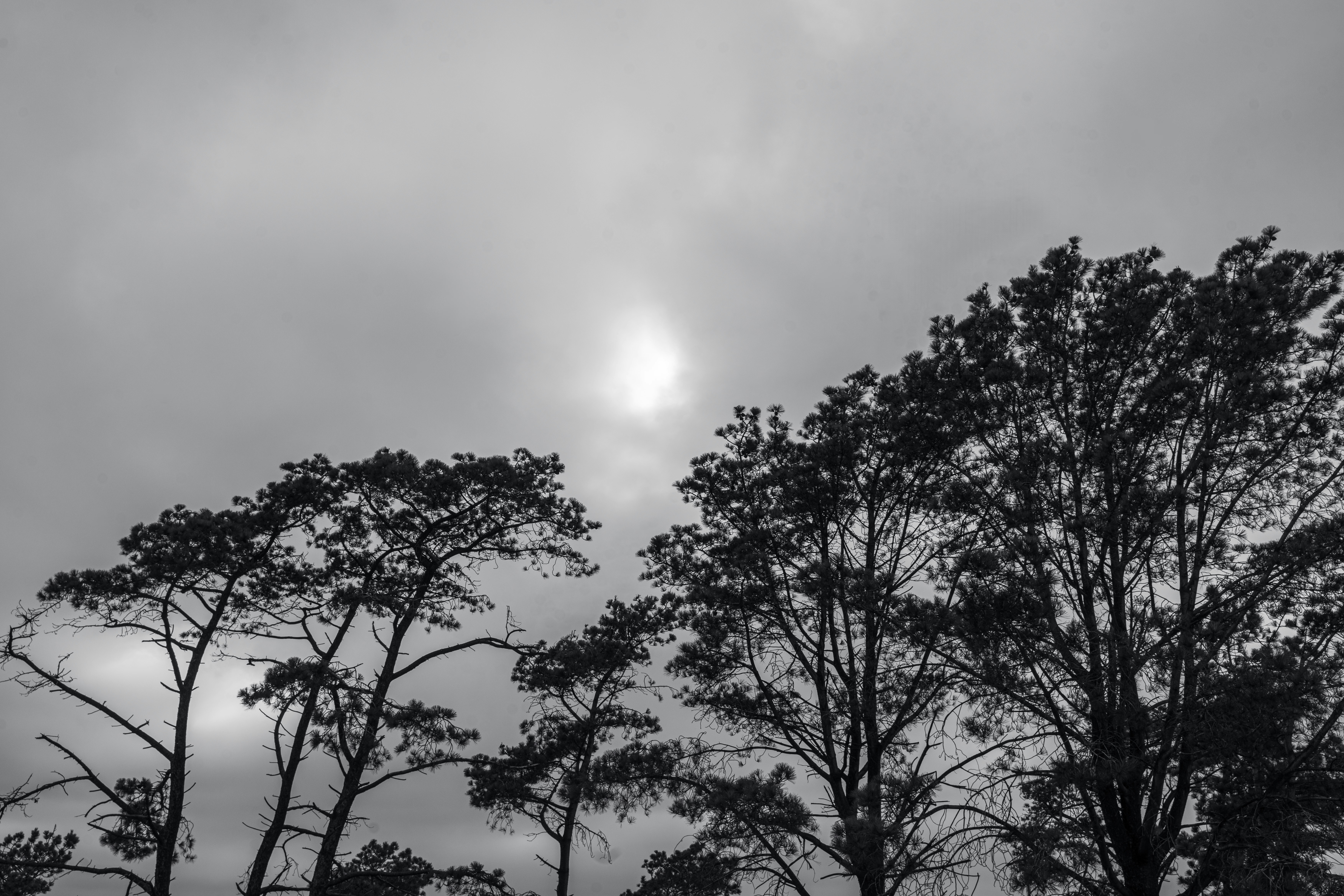 Photo by lennrt
