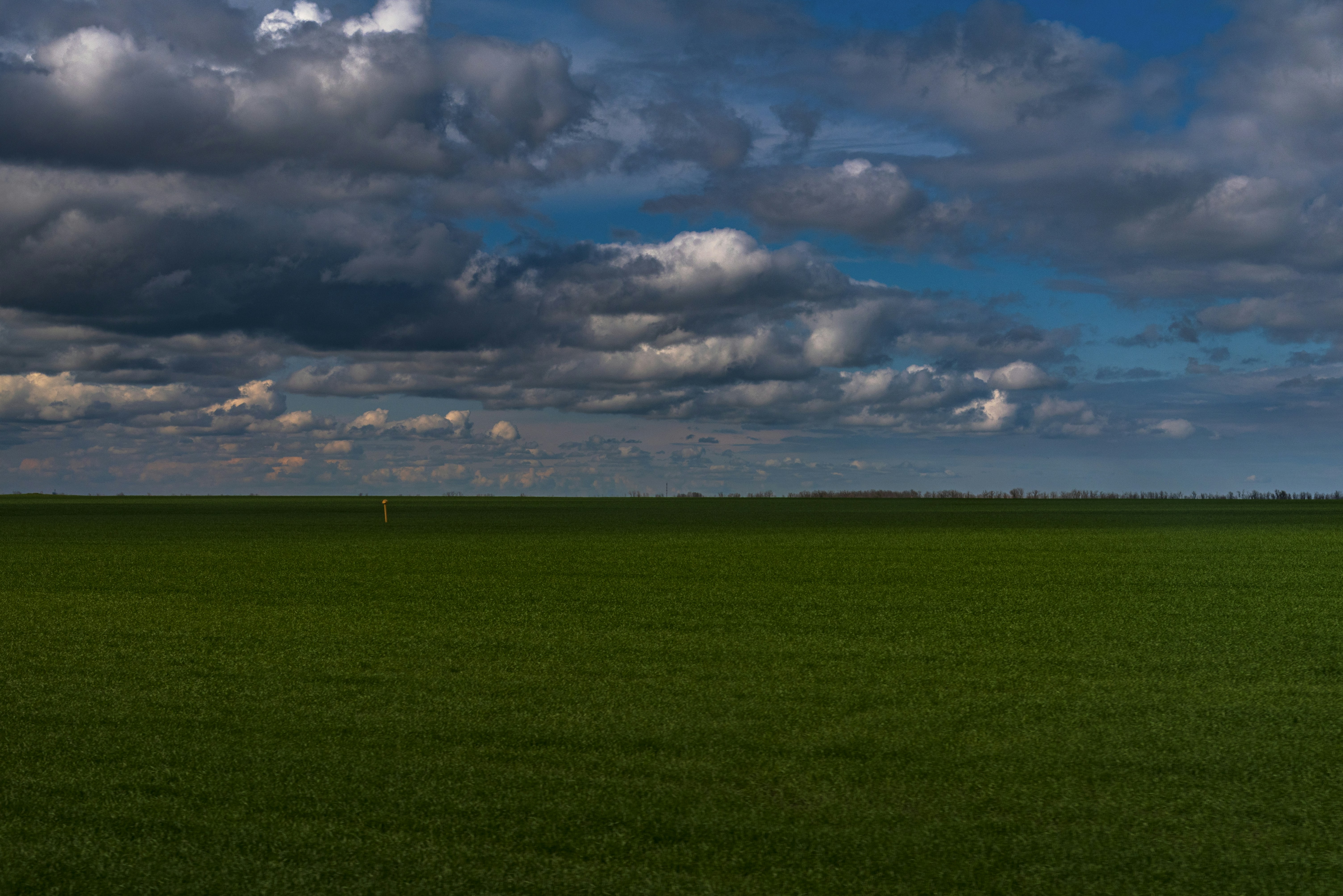 Photo by radomir456