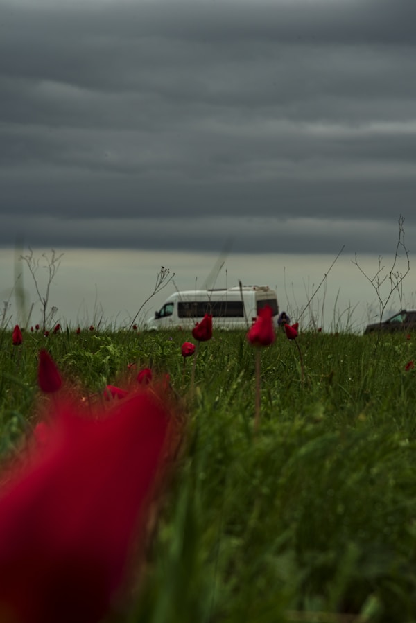 Sortie hivernage camping-car remise en route printemps