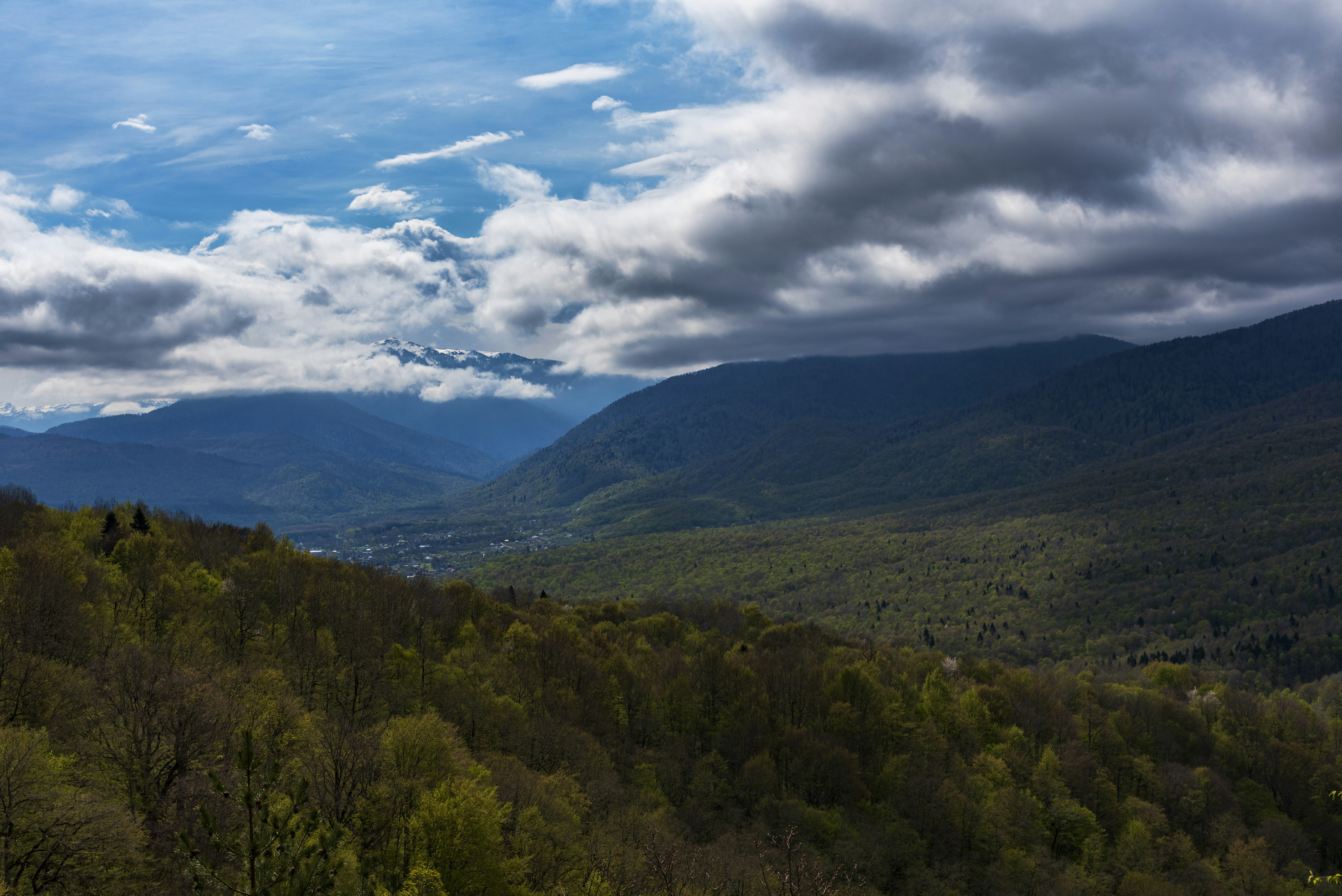 Photo by radomir456