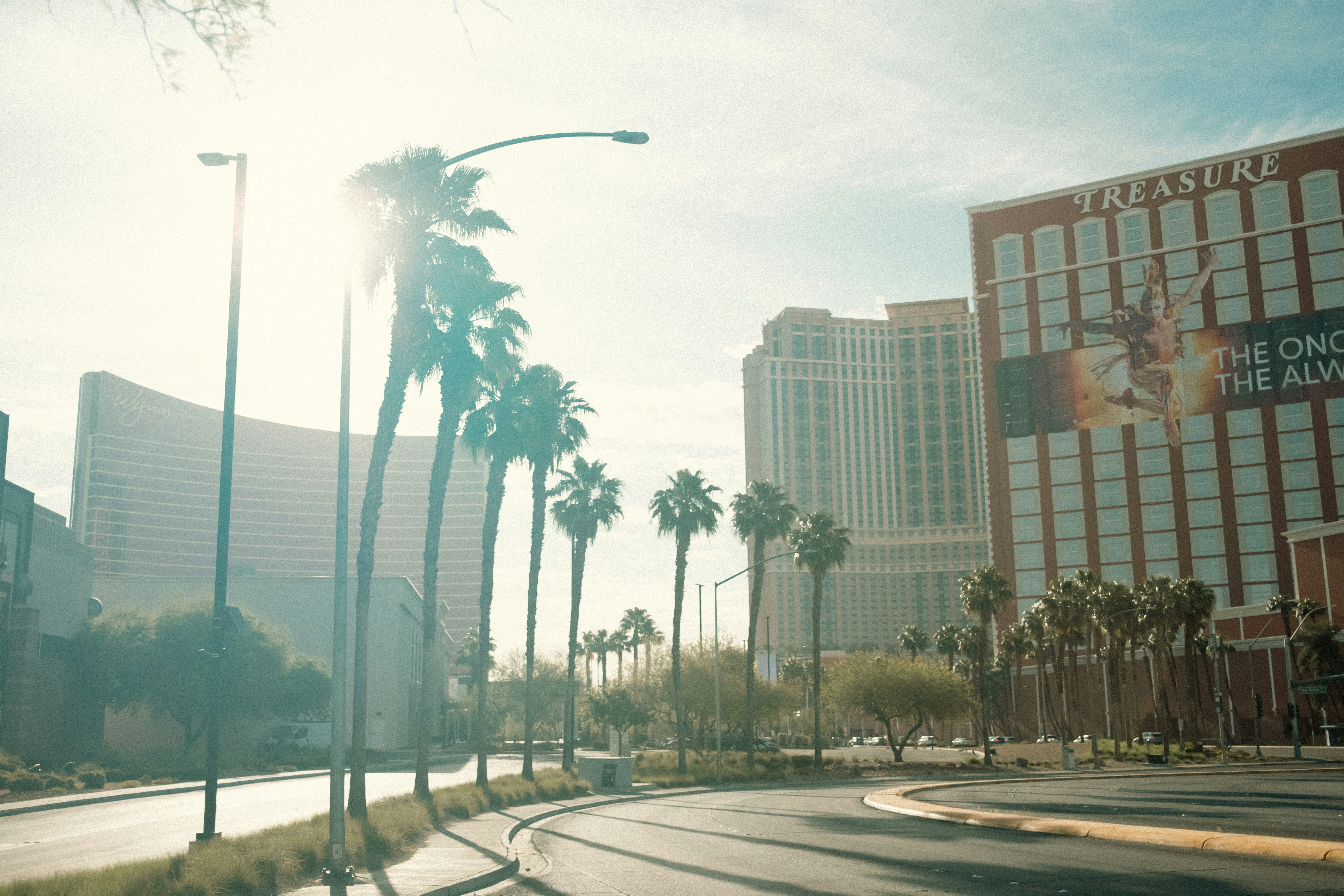 Palm trees line a sunny street with large buildings.
