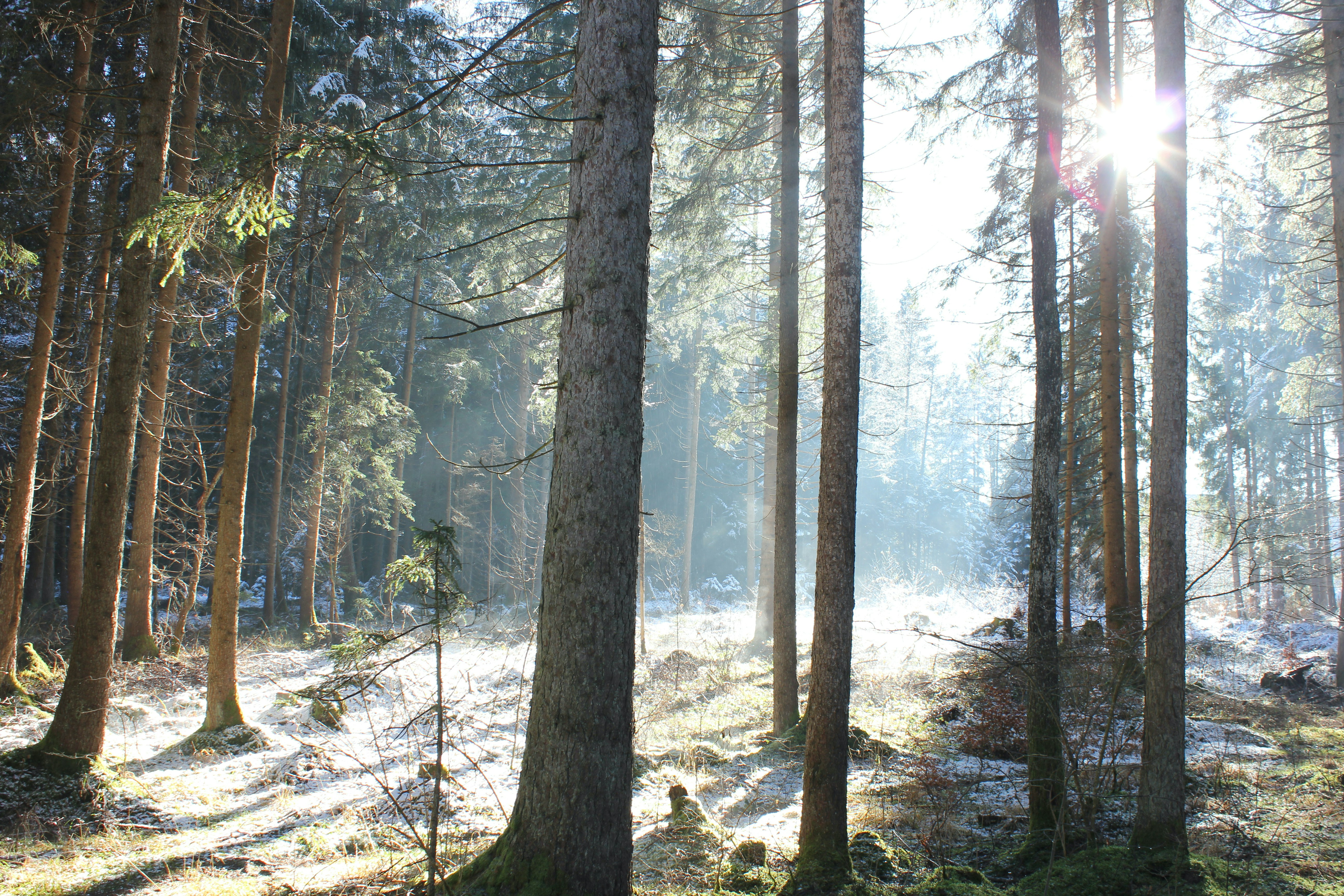Photo by vimocay
