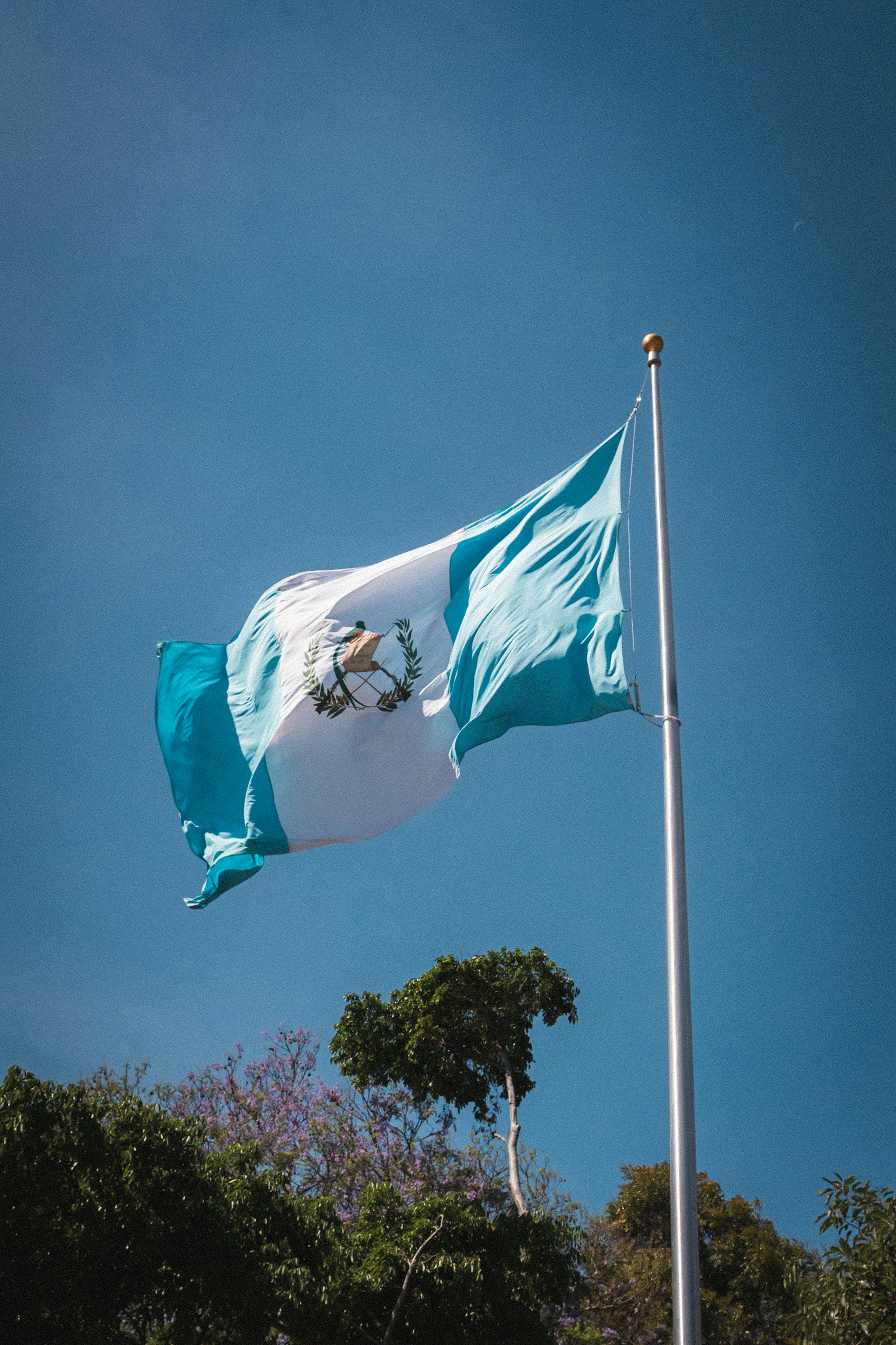 Le drapeau guatémaltèque flottant sous un ciel bleu clair.