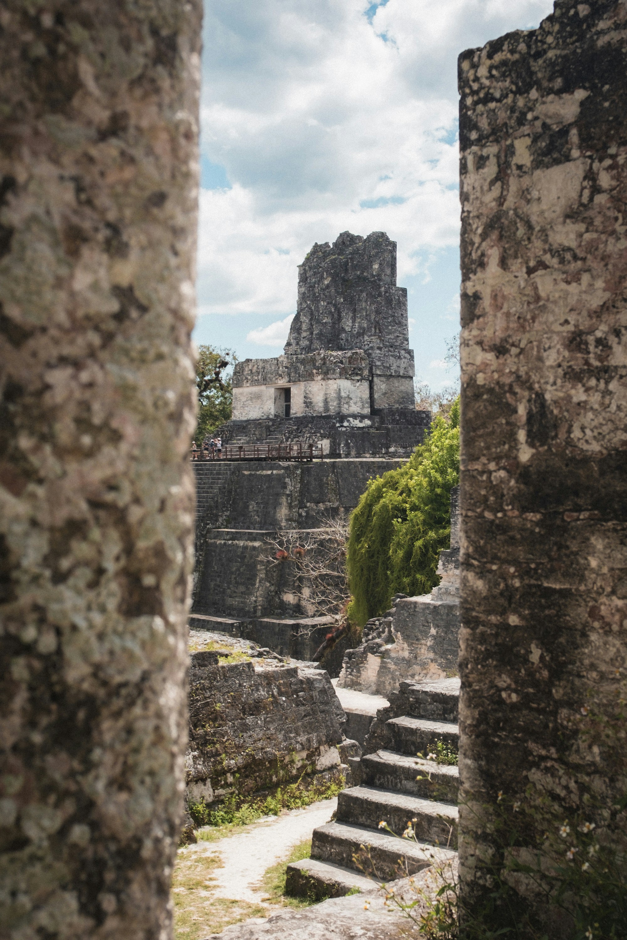 Anciennes ruines mayas avec des structures en pierre et des escaliers.