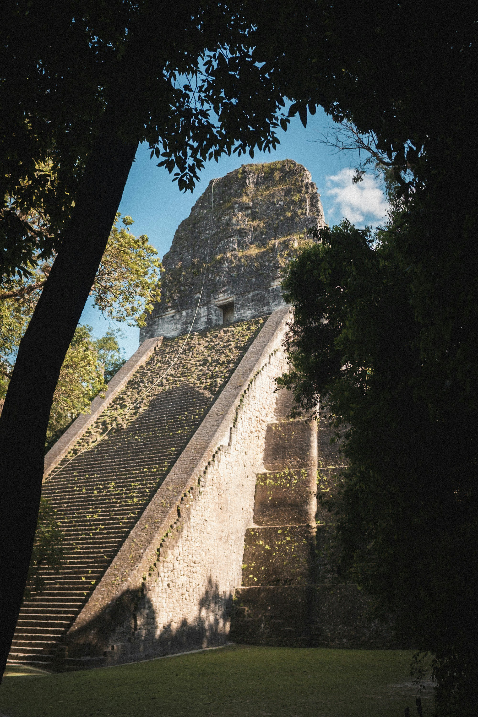 Ancienne pyramide maya avec escaliers en pierre dans la jungle