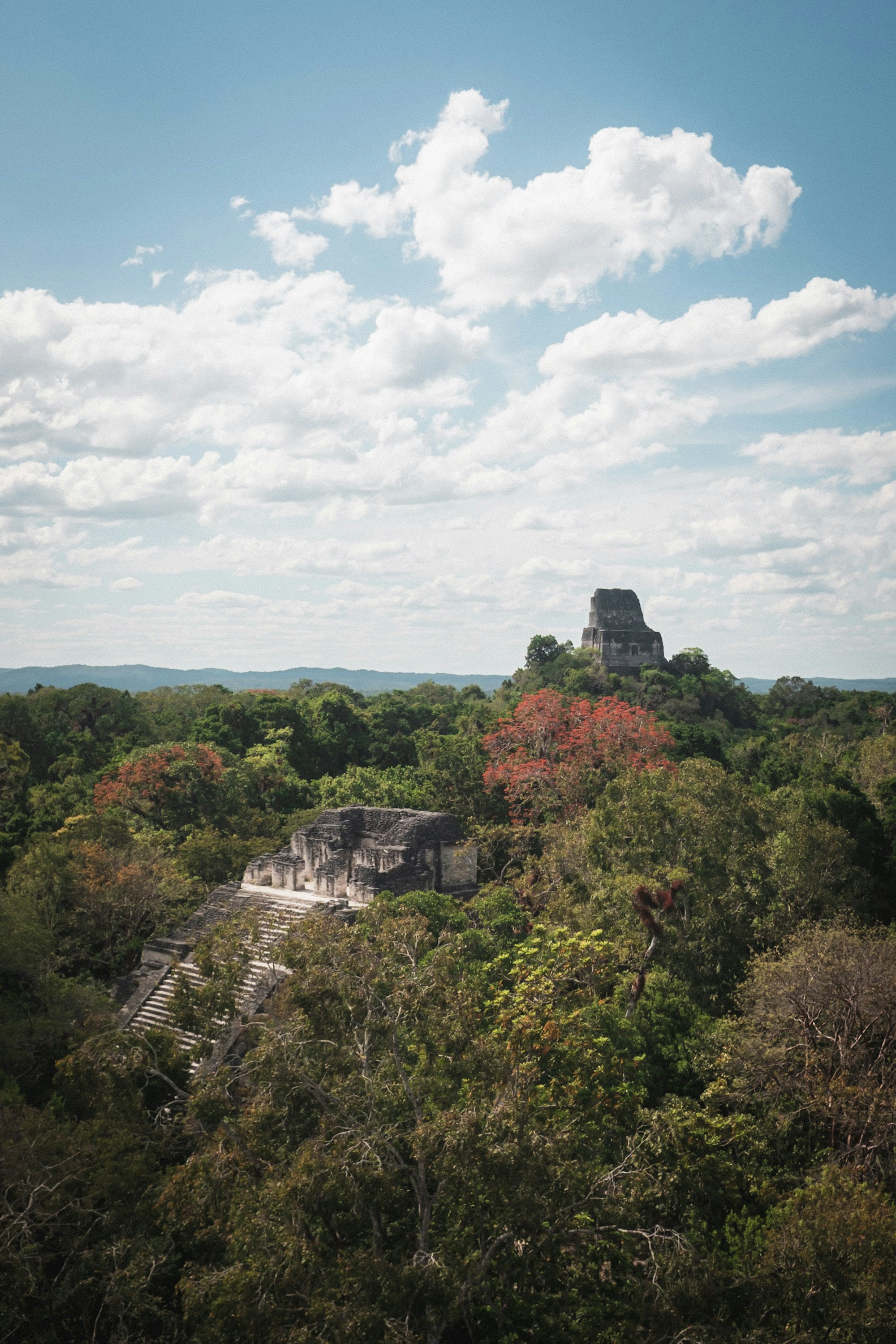 D’anciennes ruines mayas nichées dans une canopée luxuriante de la jungle