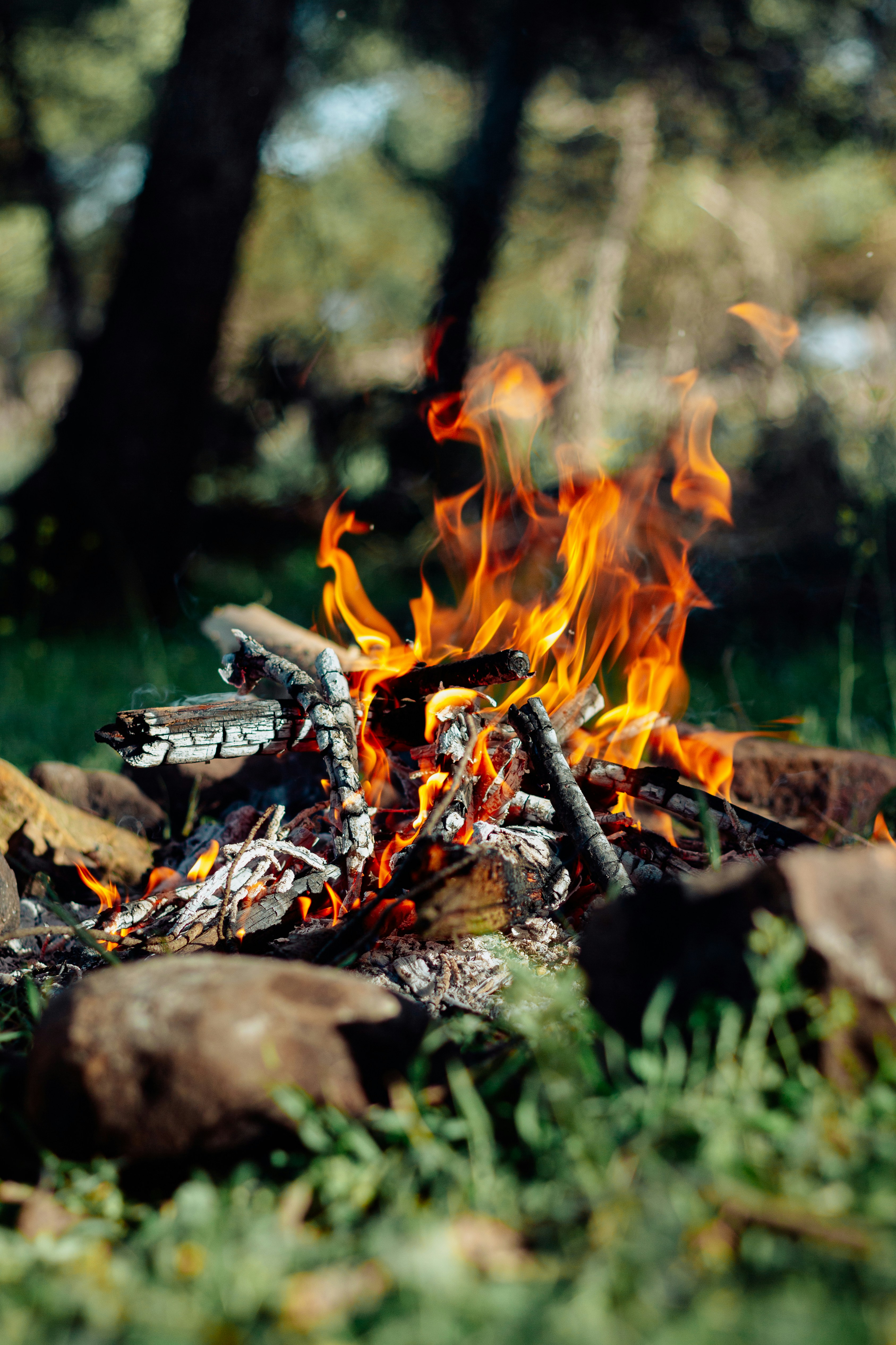 Il falò da campo arde in una radura erbosa