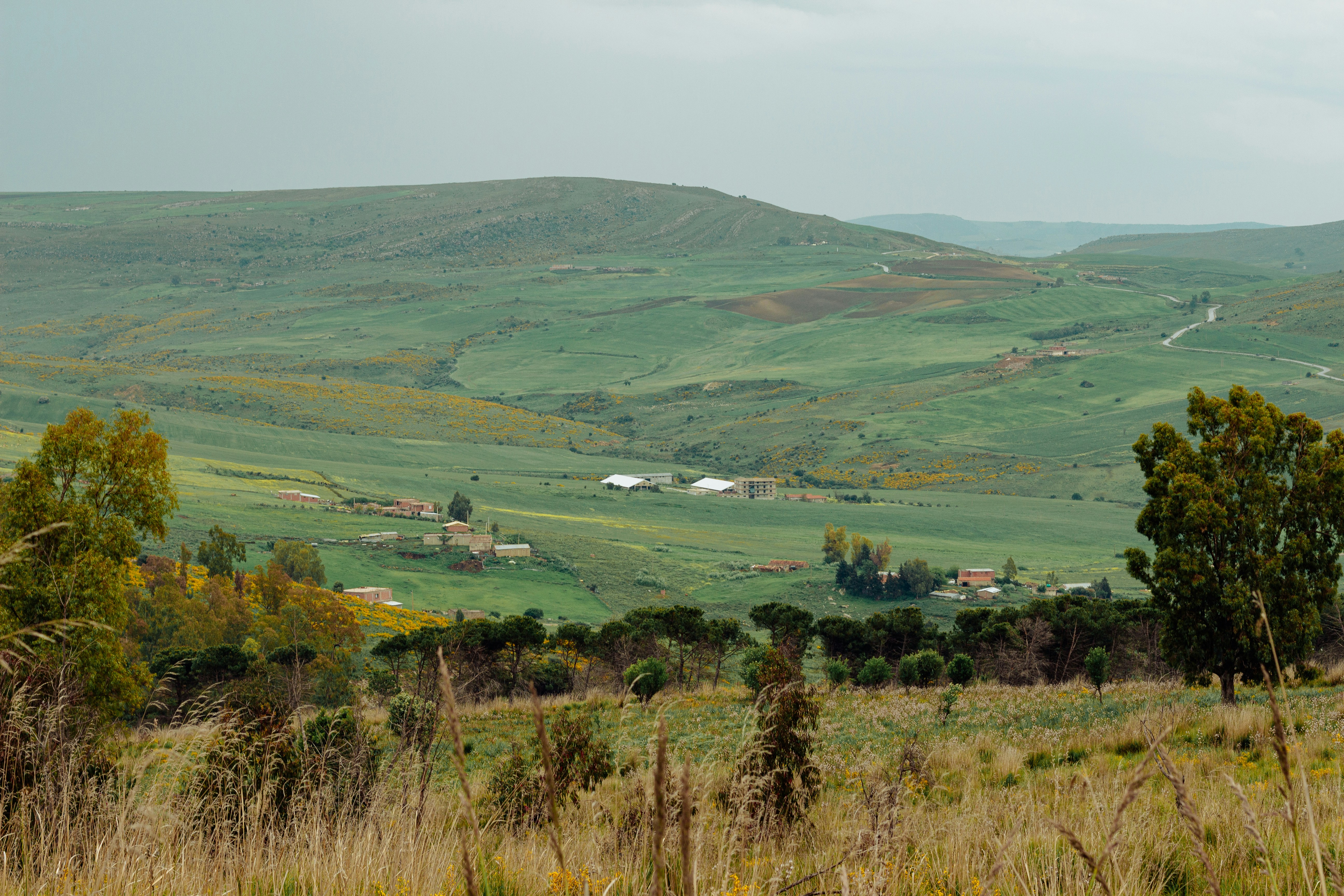 Colline verdi e dolci con edifici e alberi sparsi.