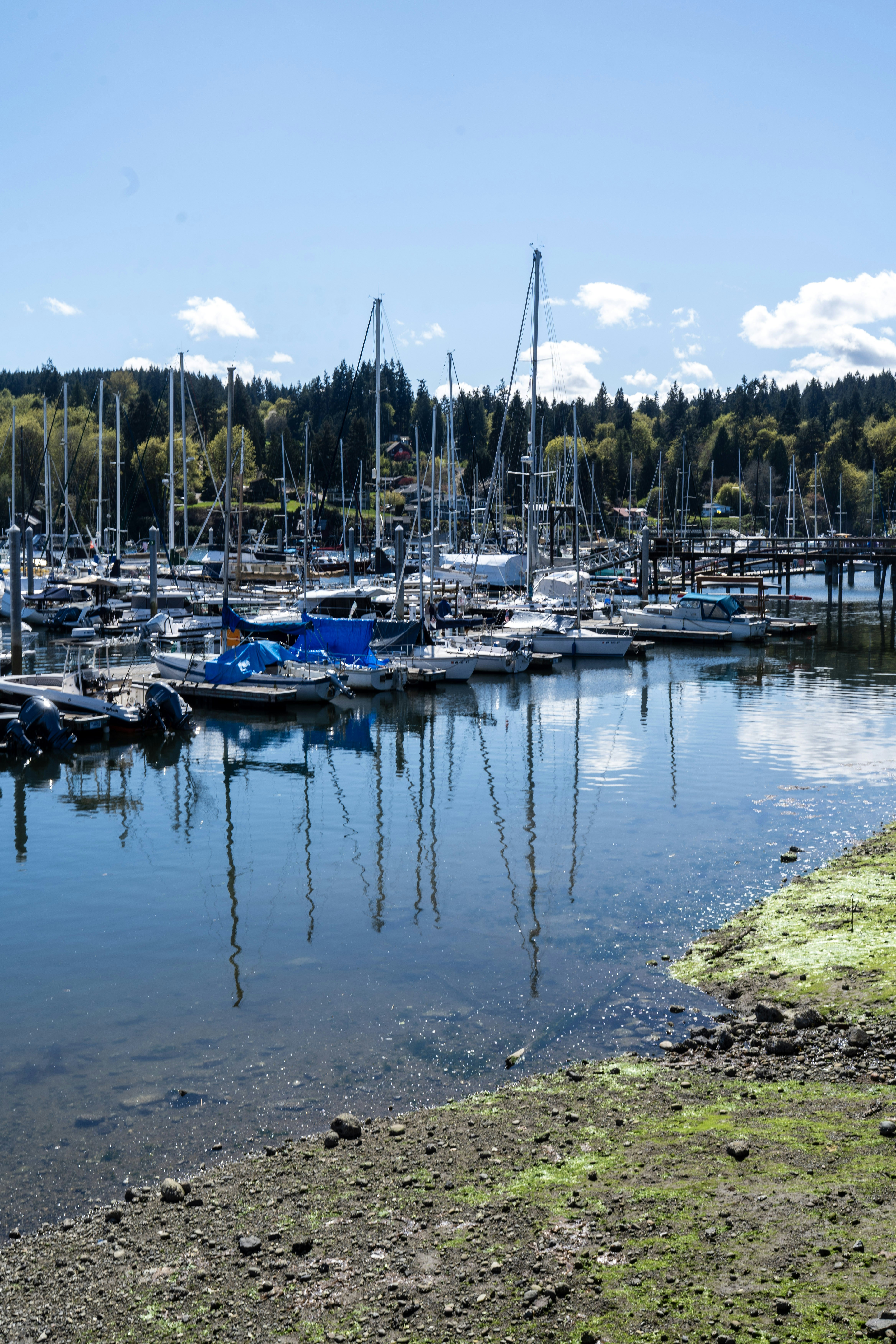 Sailboats docked in a calm harbor with reflections