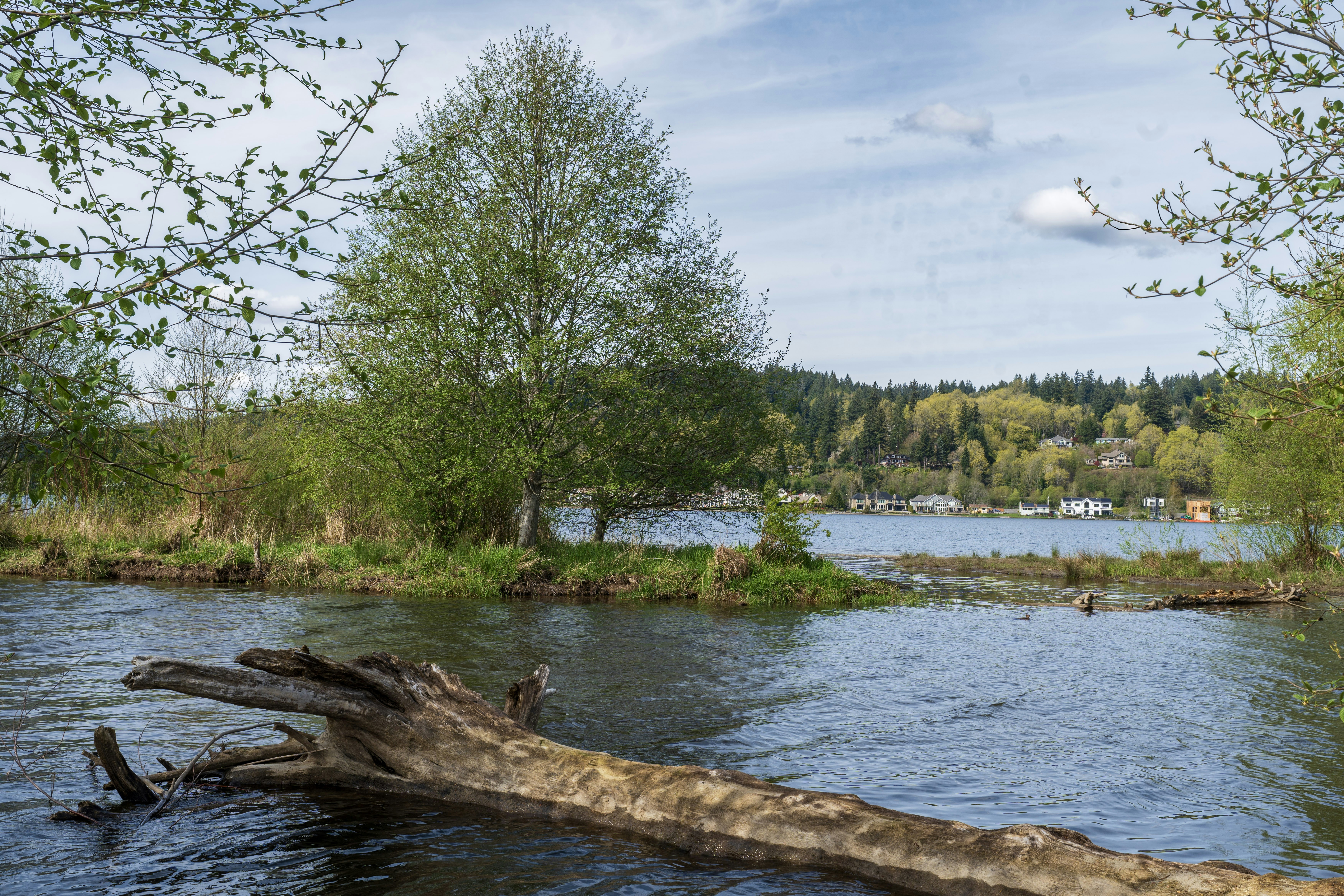 A calm river flows past trees with distant houses.