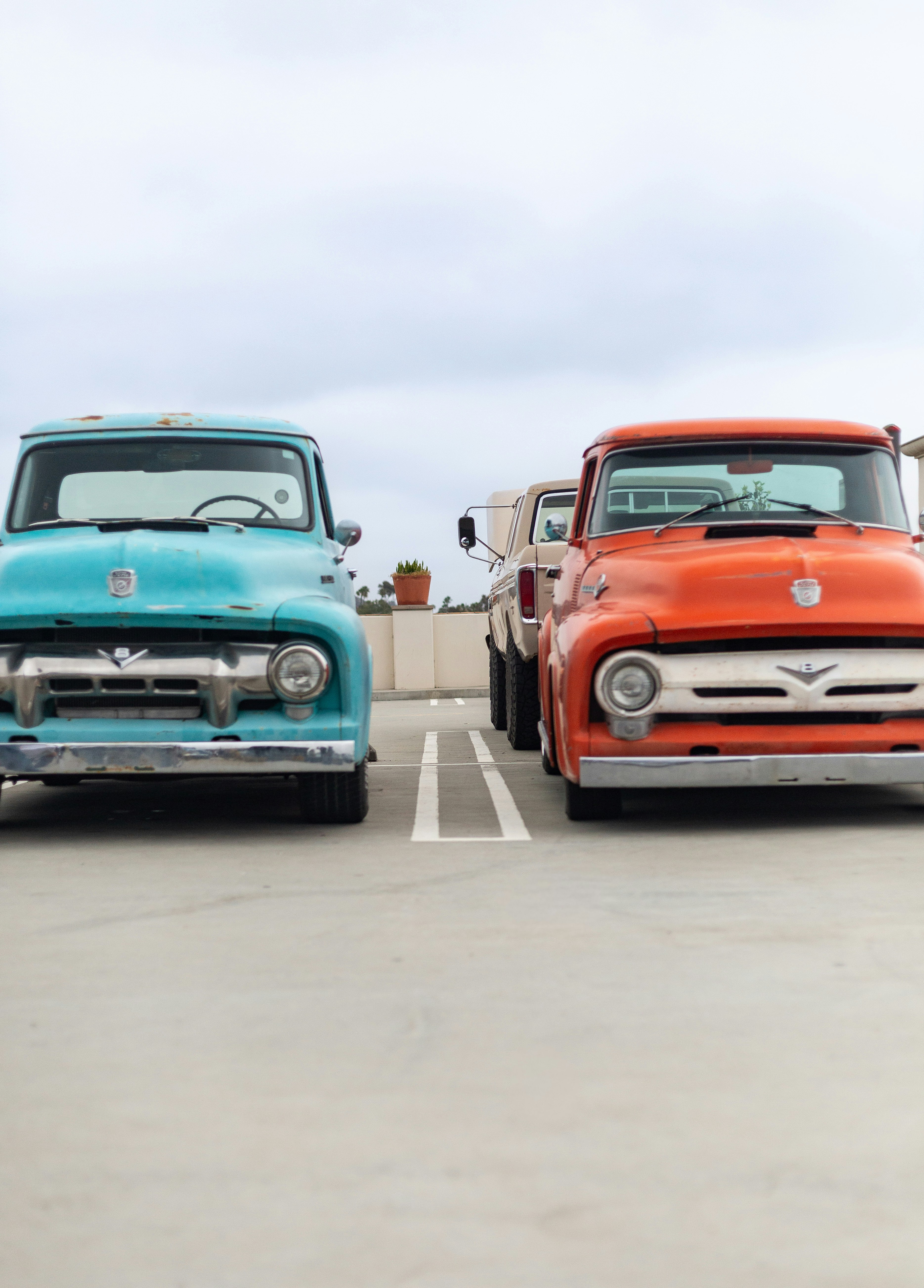 Two vintage trucks parked side by side.