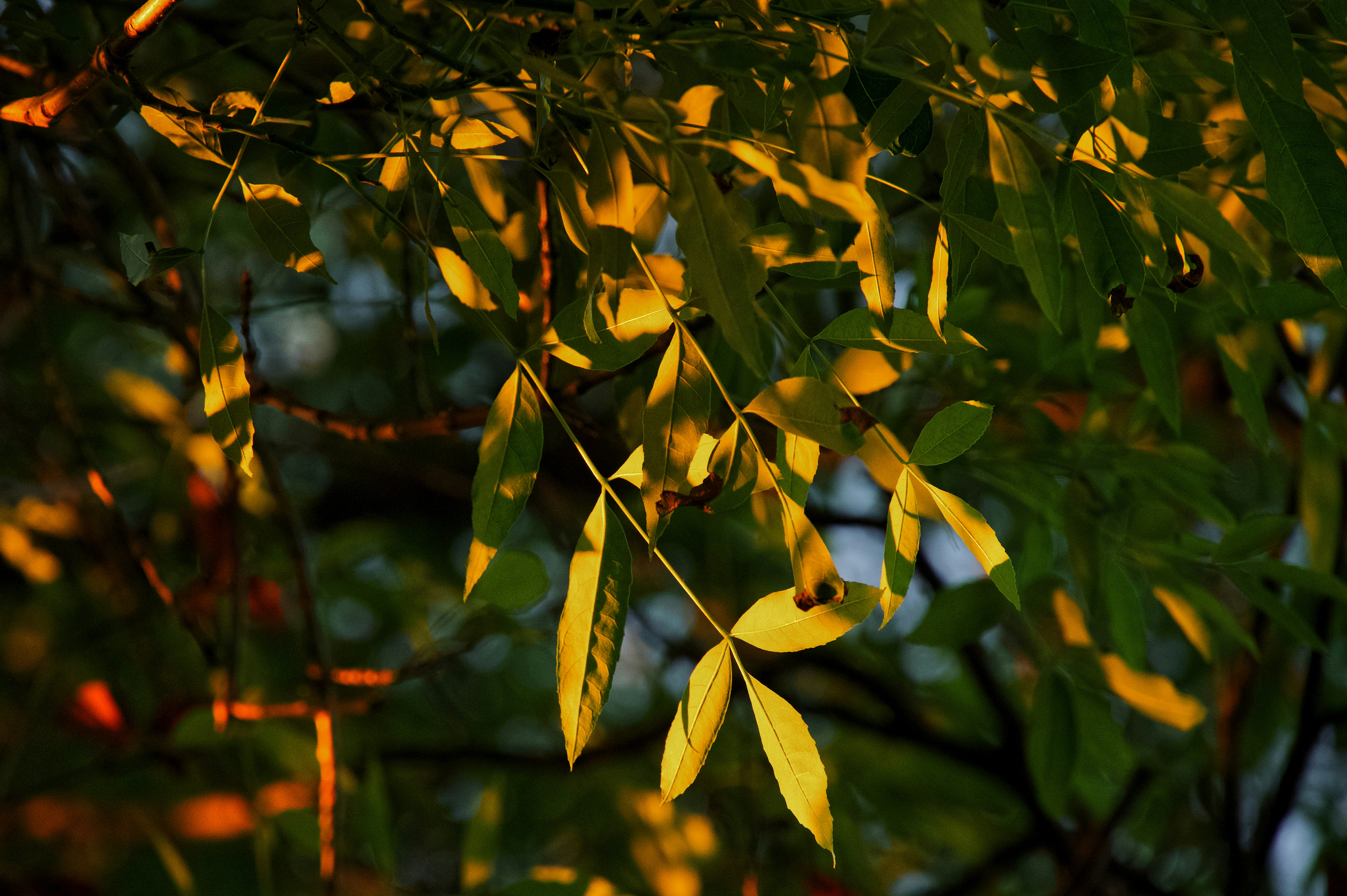 Photo by inventorb