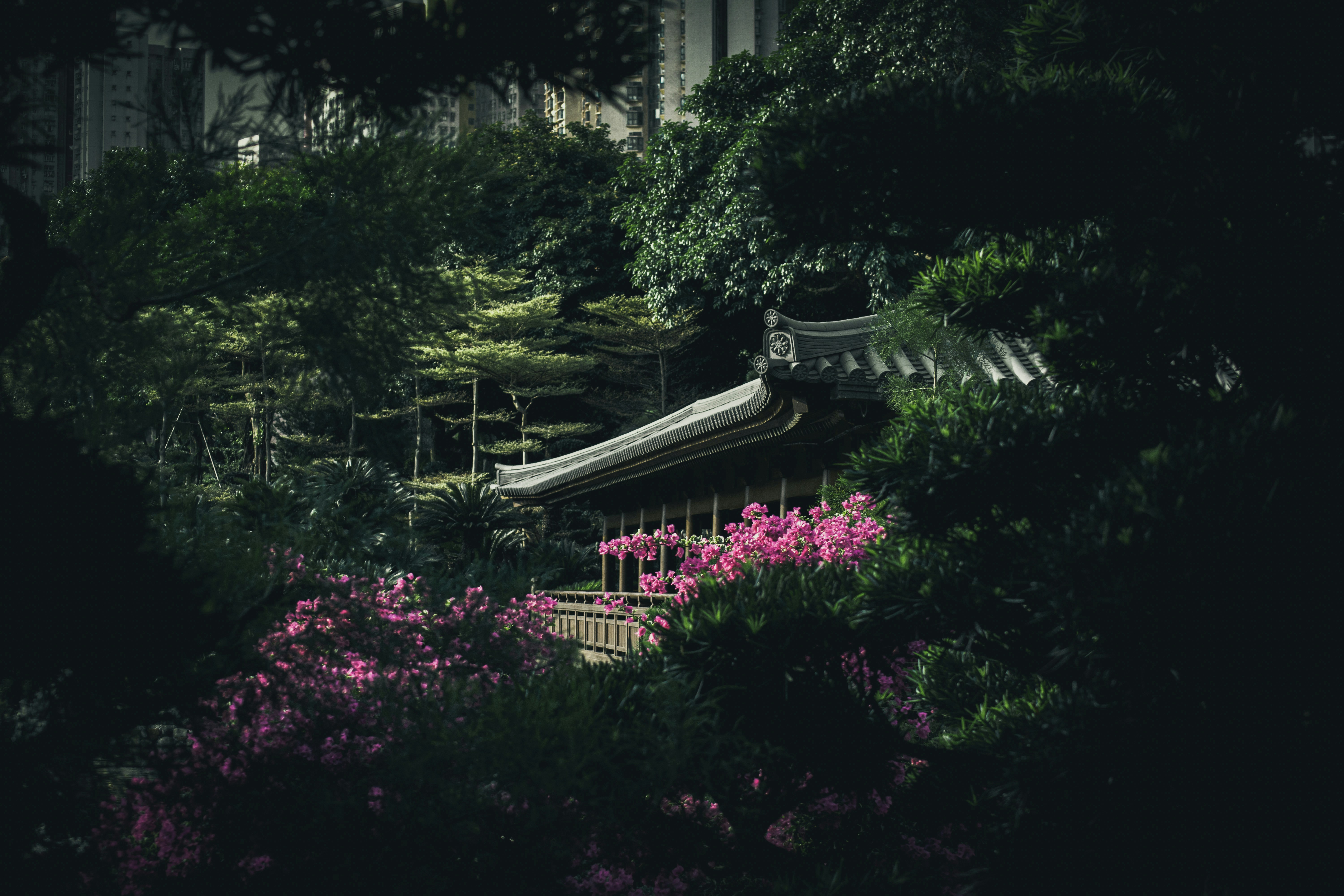 東福寺方丈庭園