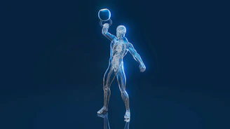 Anatomical figure lifting a kettlebell overhead.