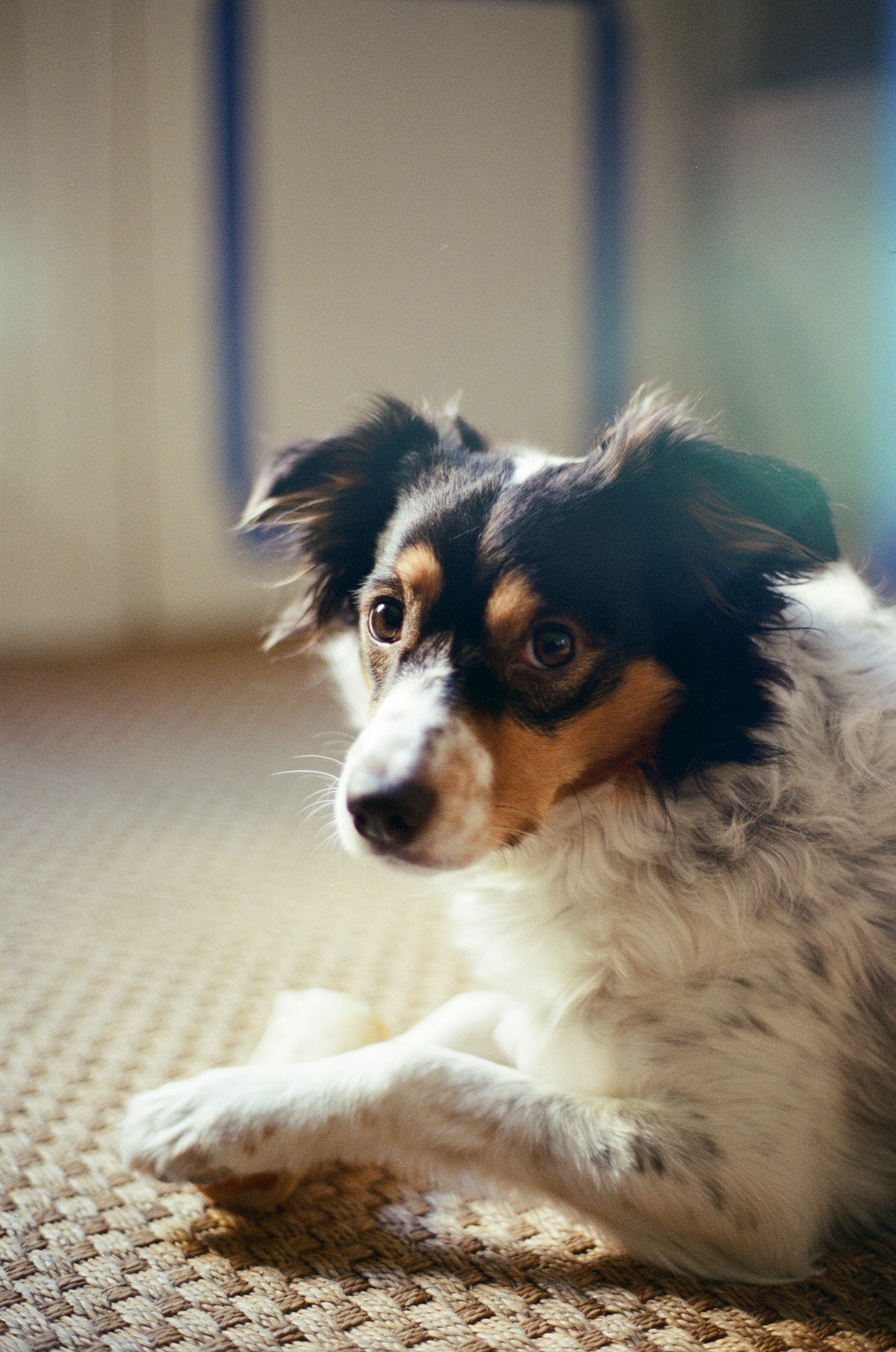 Photo by benjaminzanatta