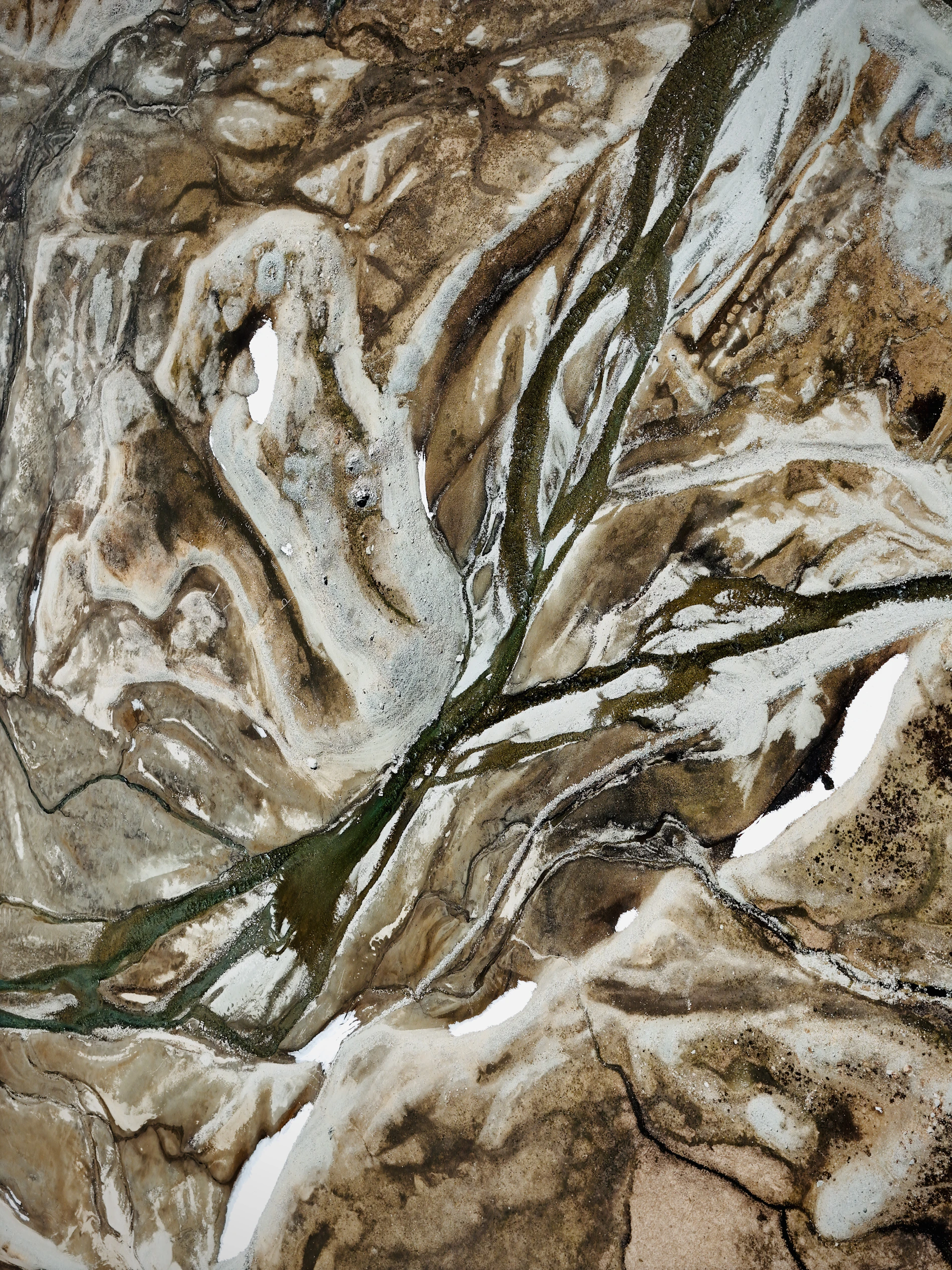 Delta de rio visto do alto, com canais ramificados