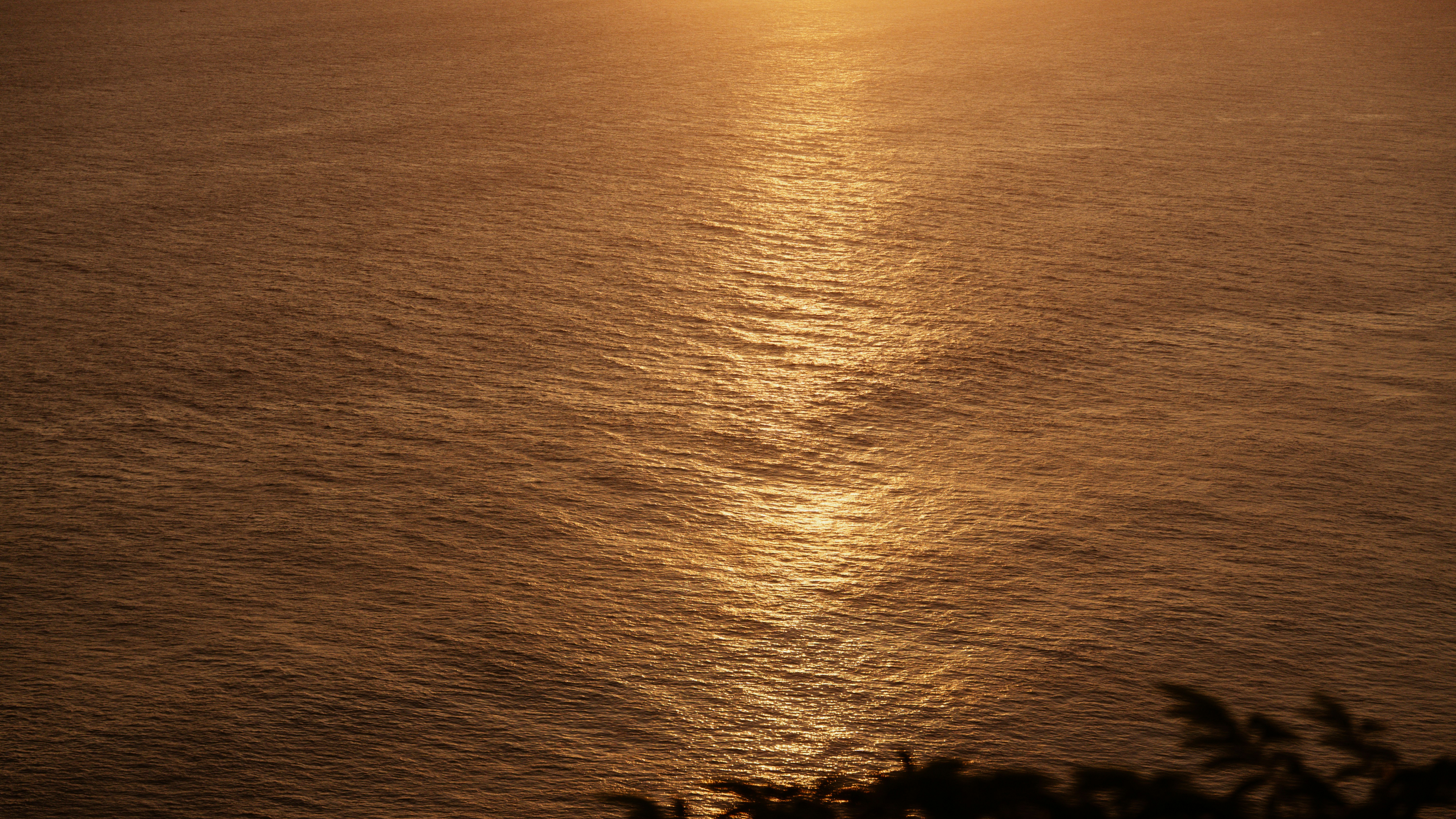 Golden sunset reflecting on the ocean surface
