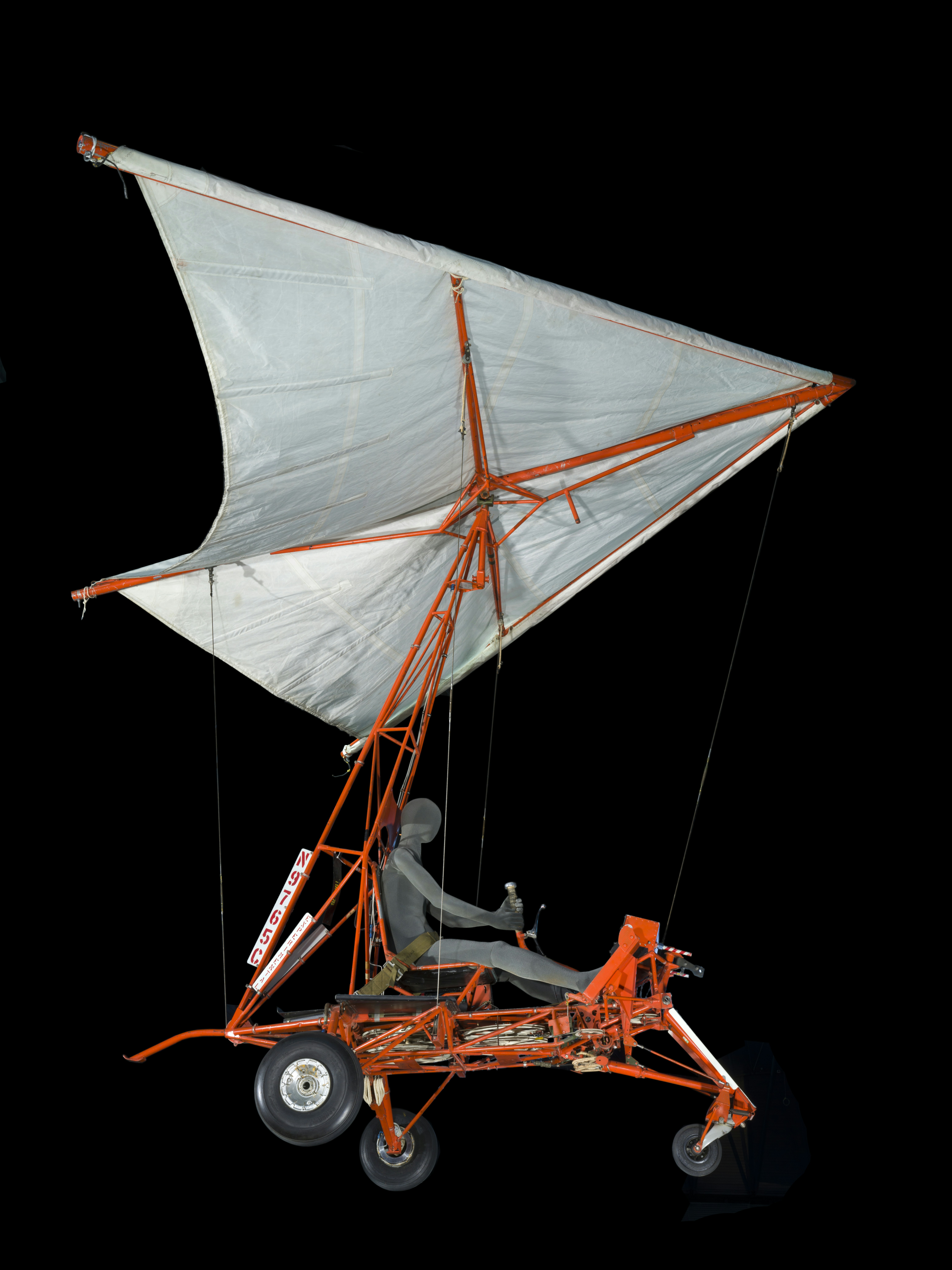 Photo by smithsonian