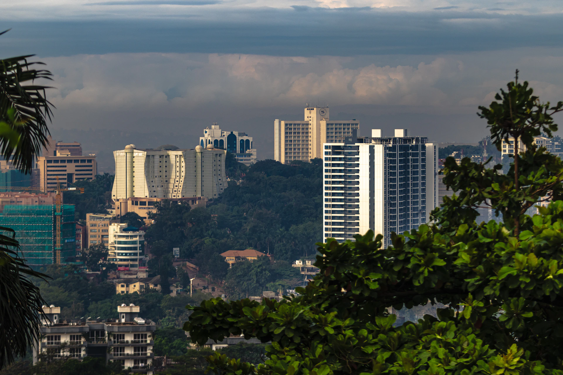 City skyline with modern buildings nestled among trees.