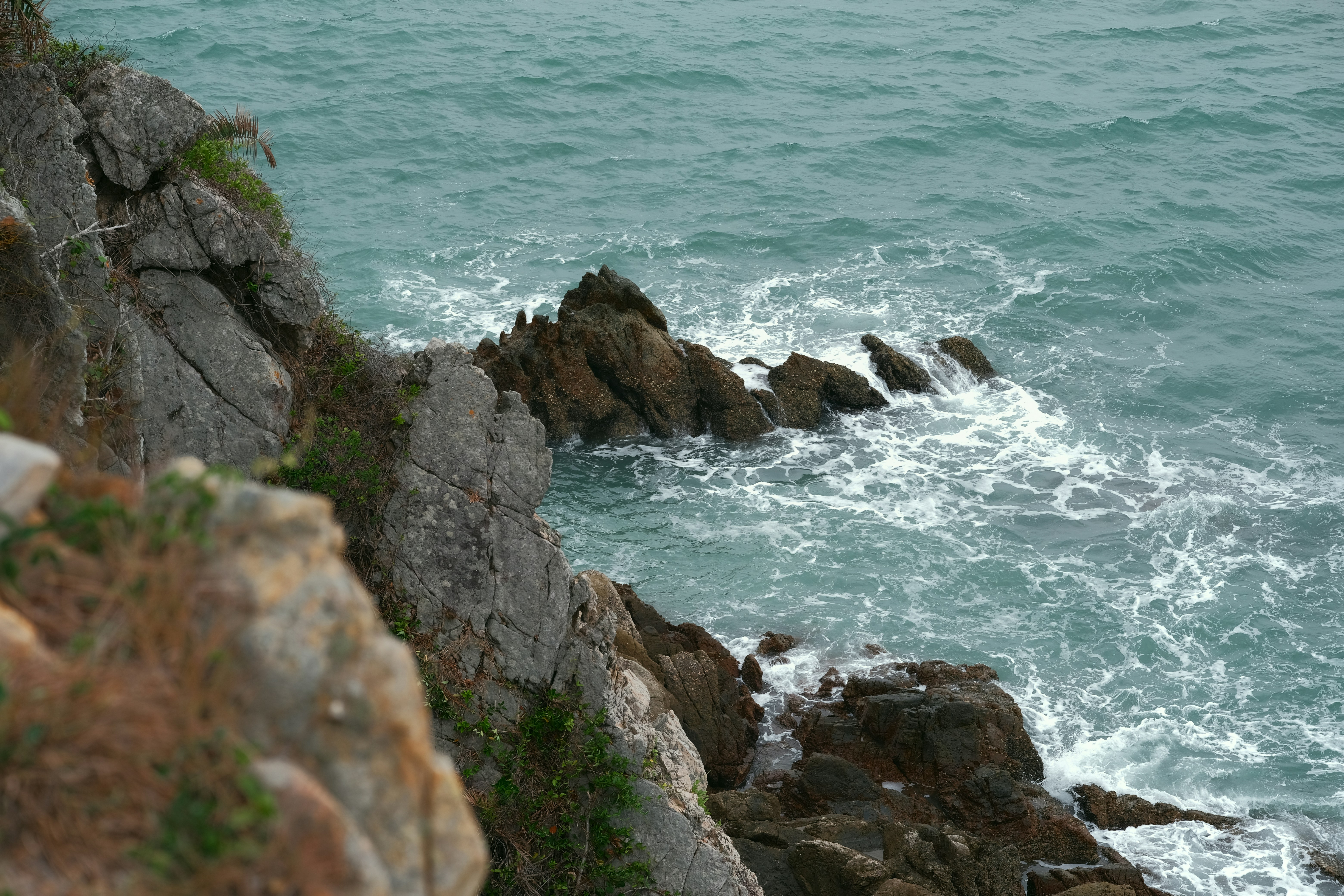 Photo by byharryle