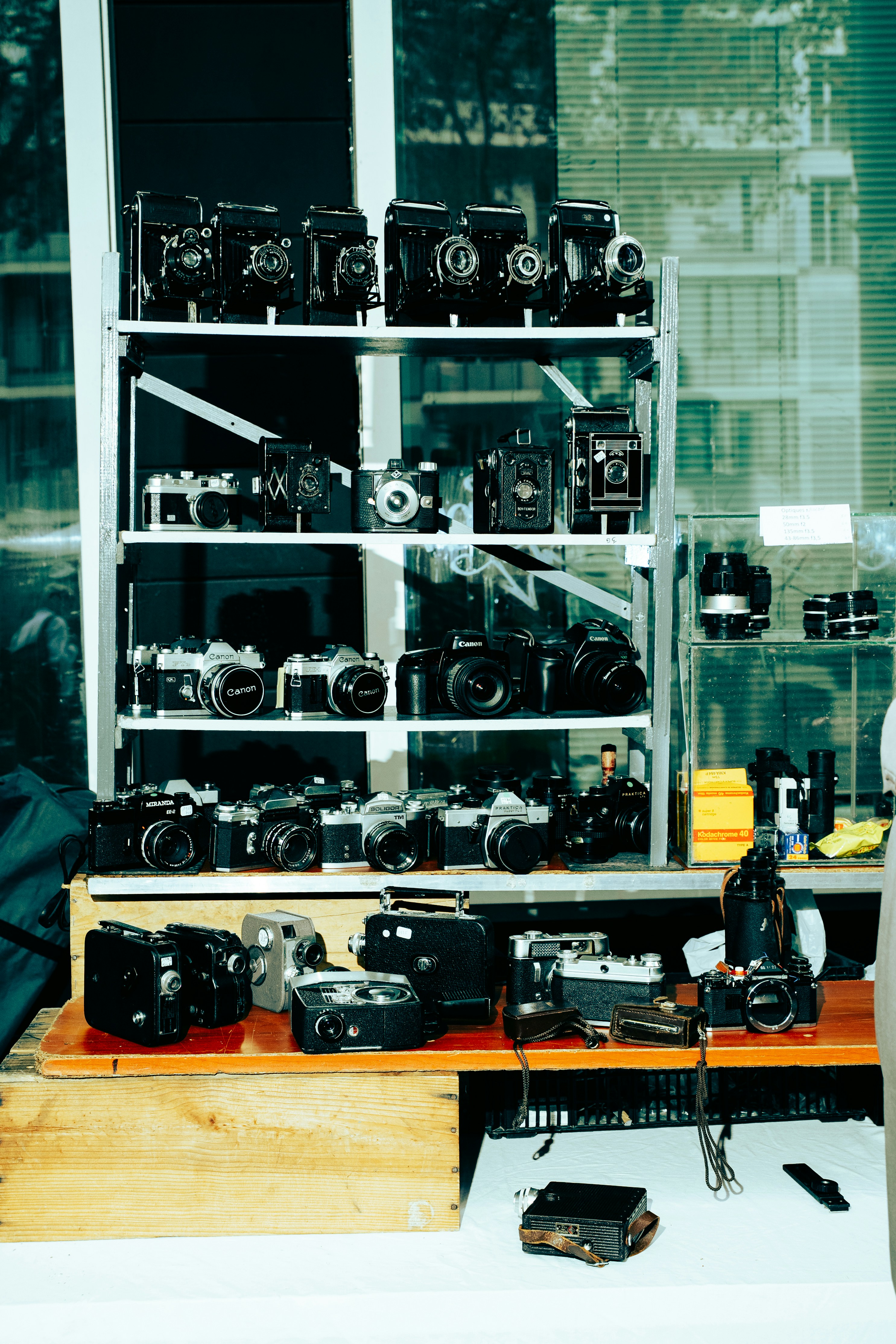 Collezione di fotocamere vintage esposte sugli scaffali