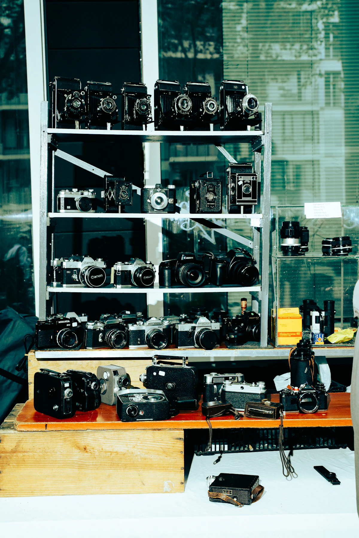 Collection of Vintage Film Cameras