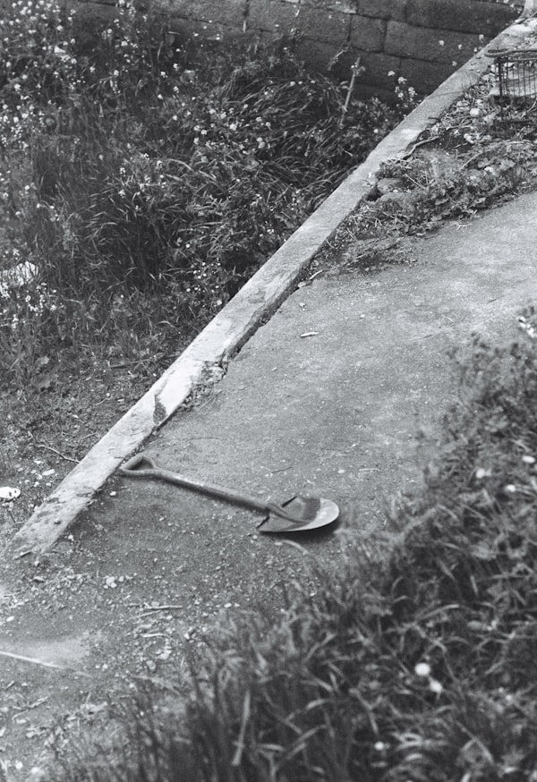 Spaten auf einem Gartenweg