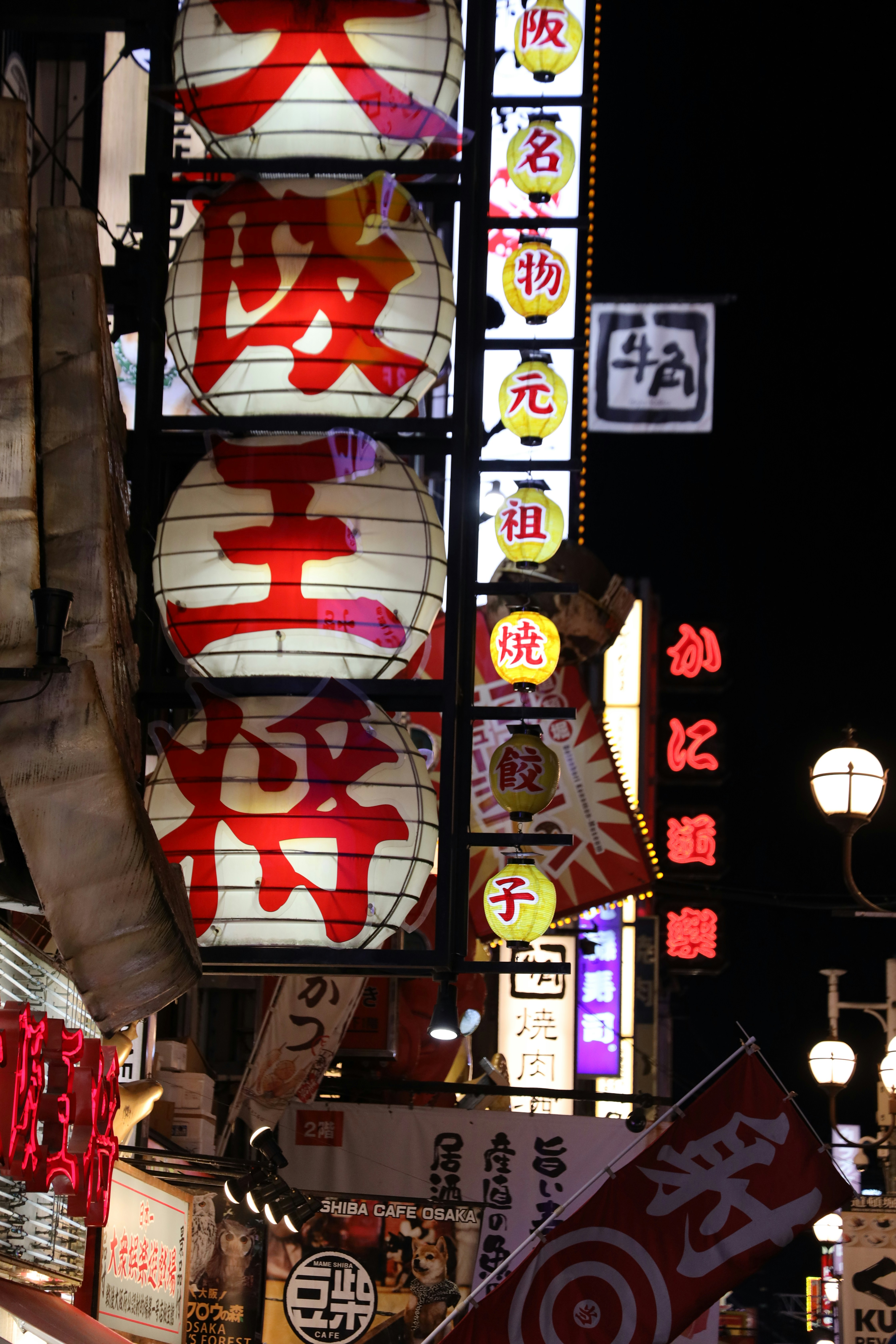 Lanternas e placas japonesas brilhantes à noite