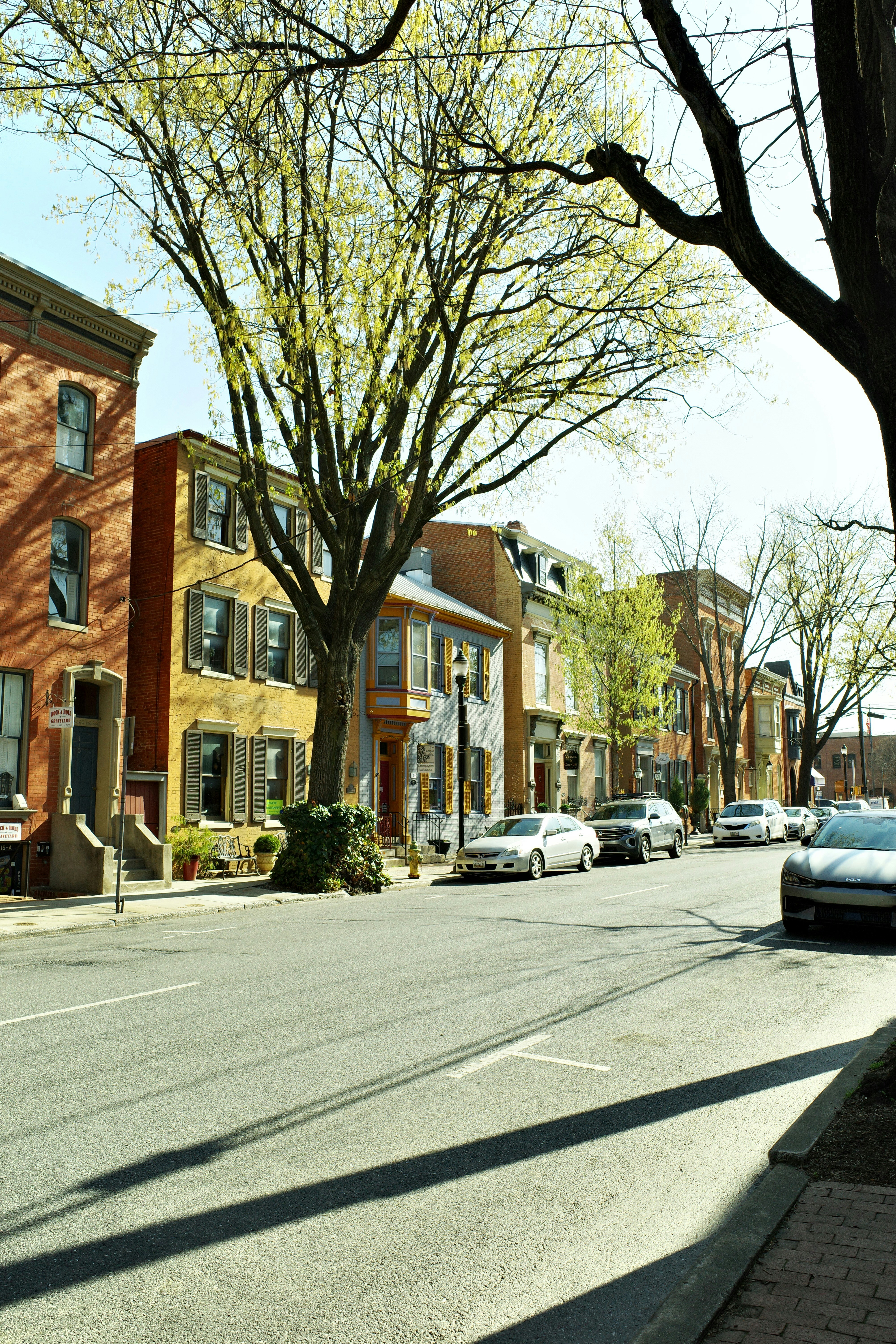 Row of colorful houses on a tree-lined street.