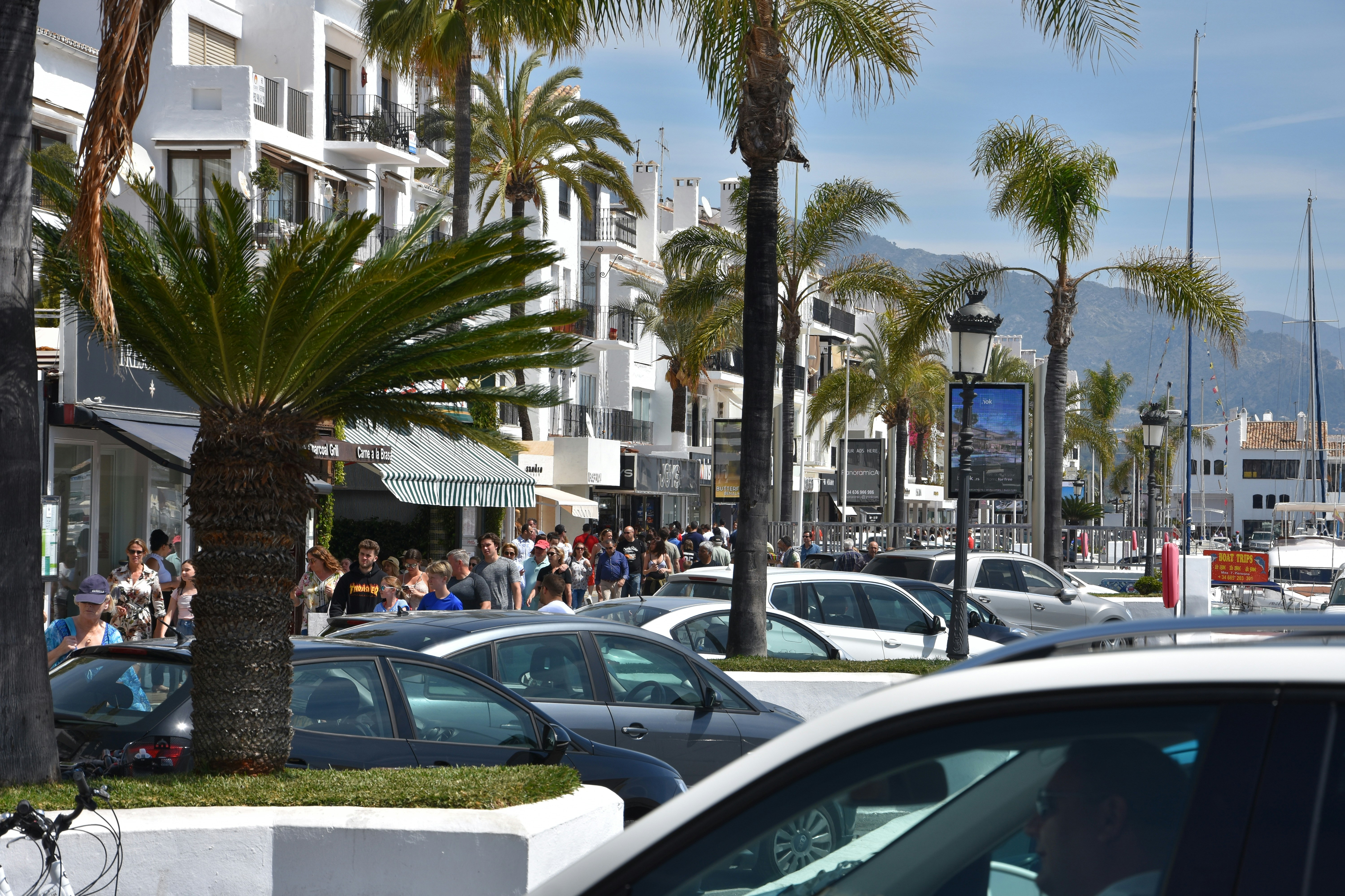 summer camp - Summer Camp in Puerto Banús: Montessori Sotogrande