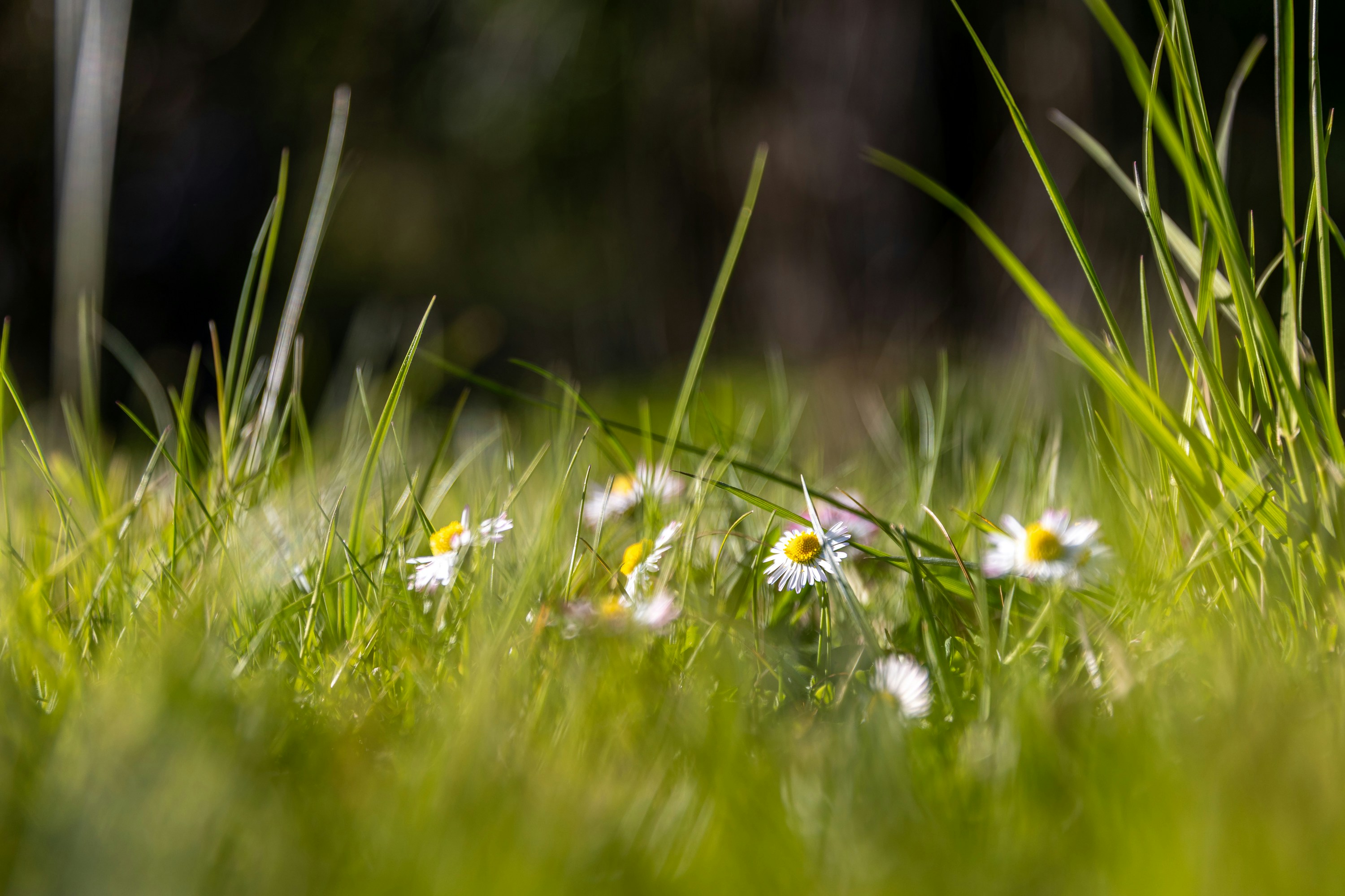 Photo by marvinradke