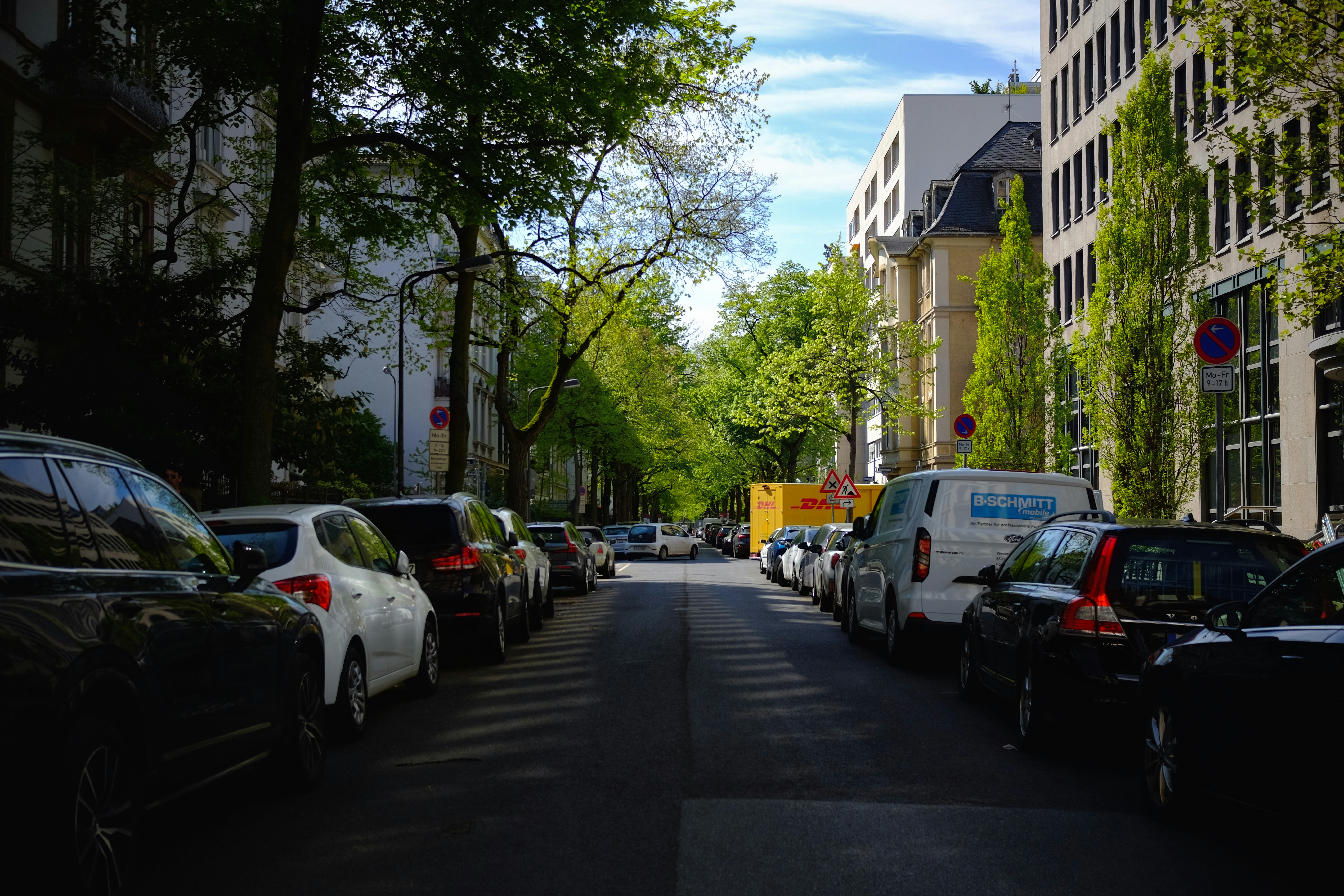 Autos parkten auf einer von Bäumen gesäumten Stadtstraße.
