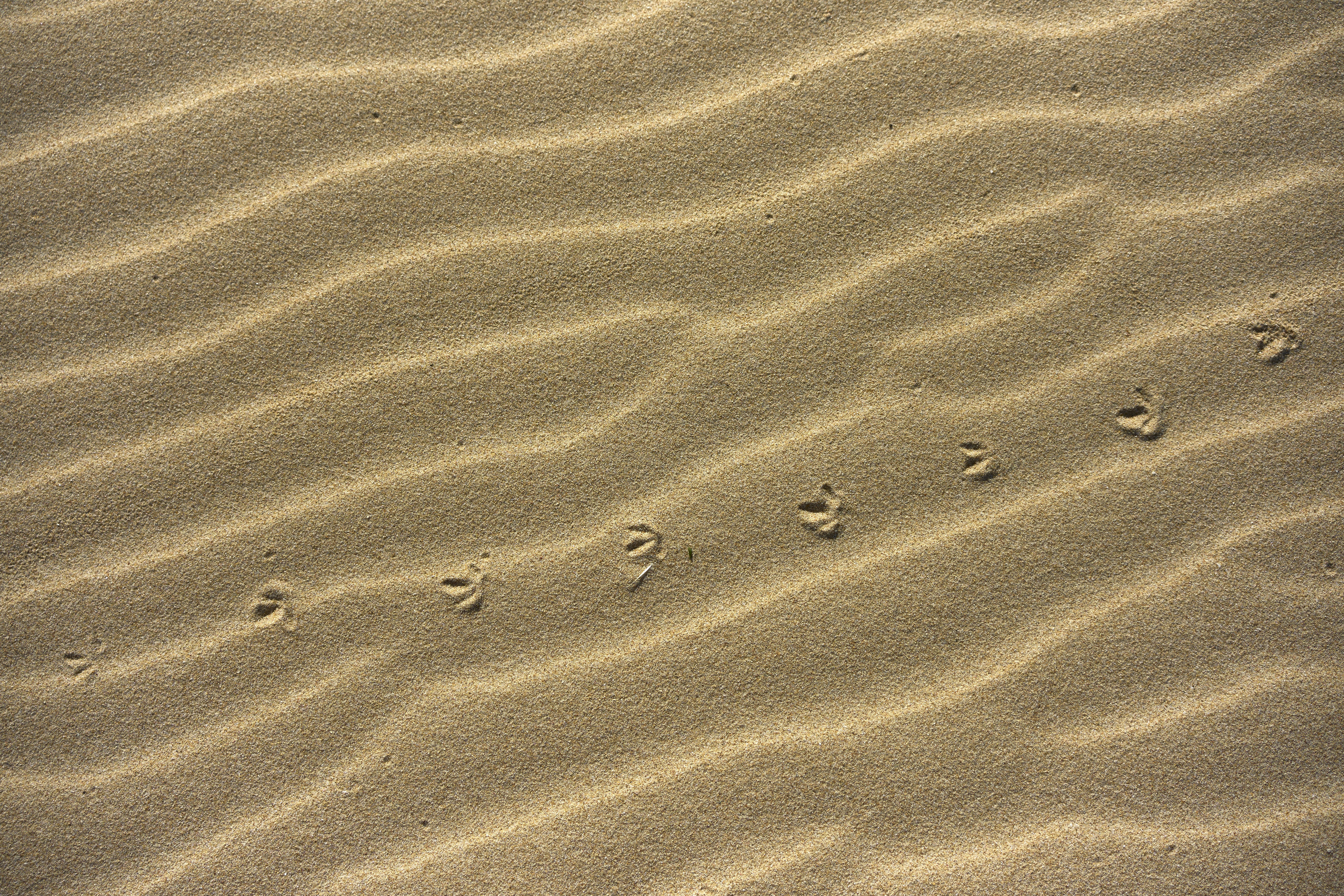 Enhance Your Service: Restore Your Corporate Registered Agent Today