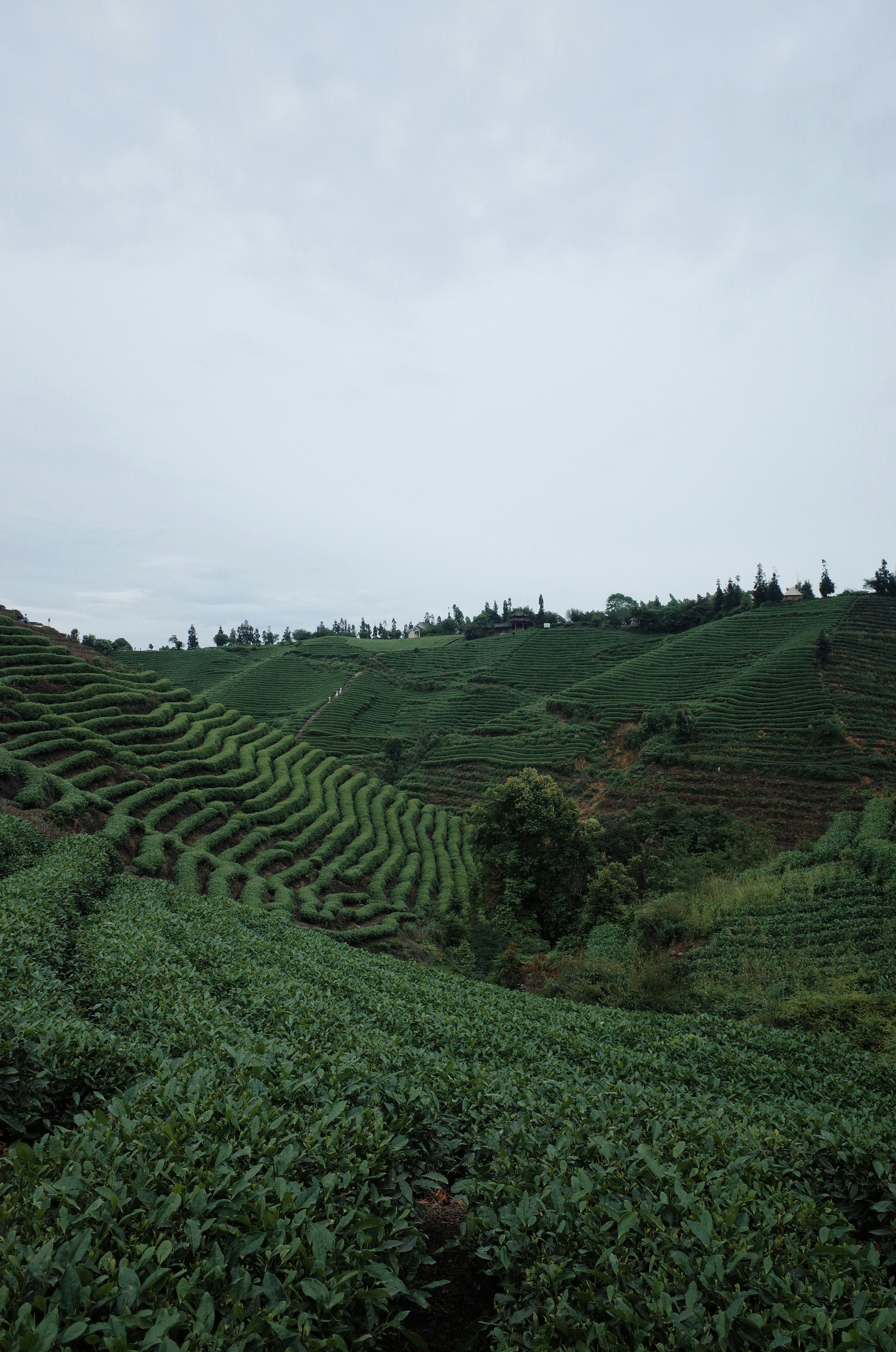 Photo by zhaoyukan