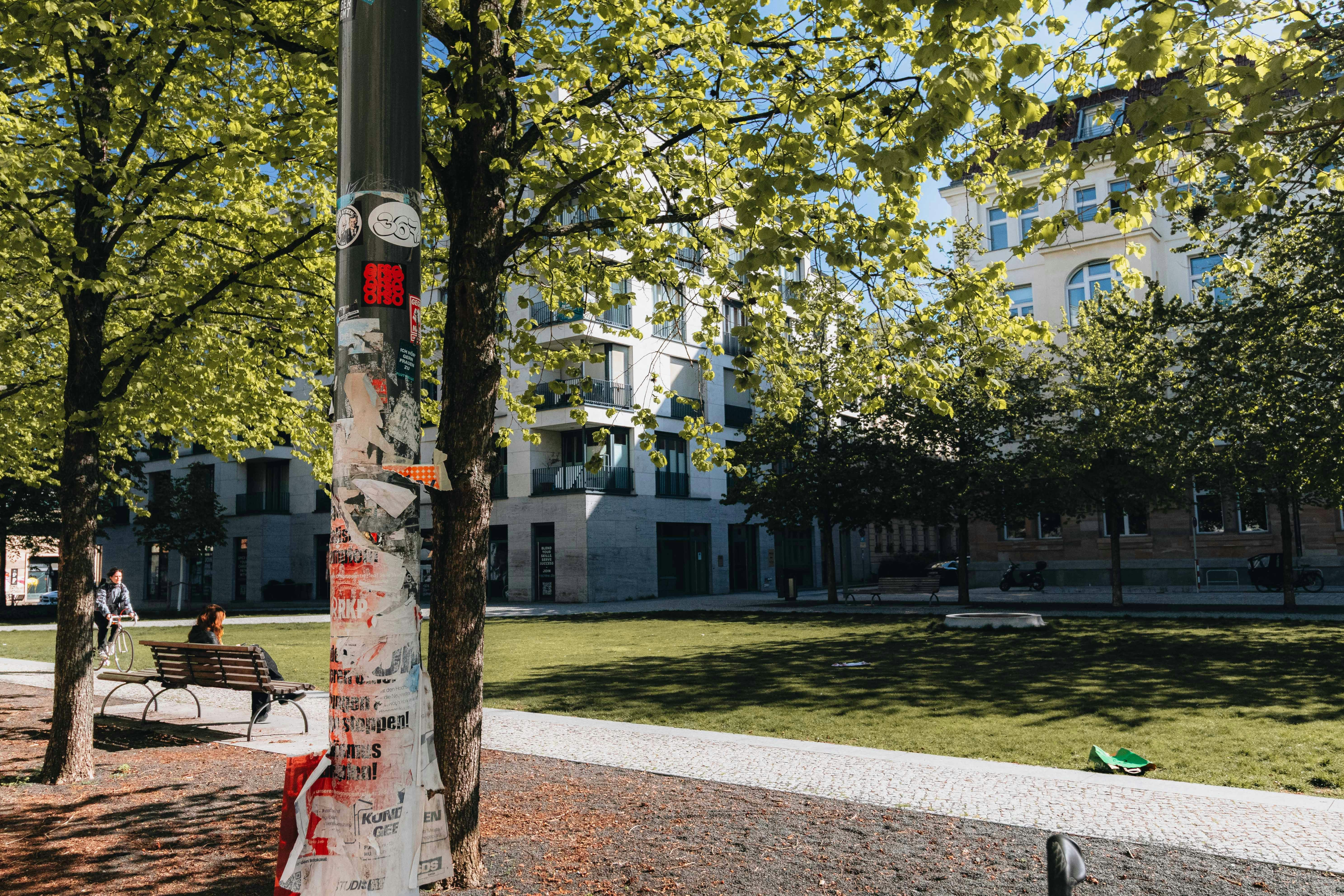 Trees and modern buildings around a sunny plaza