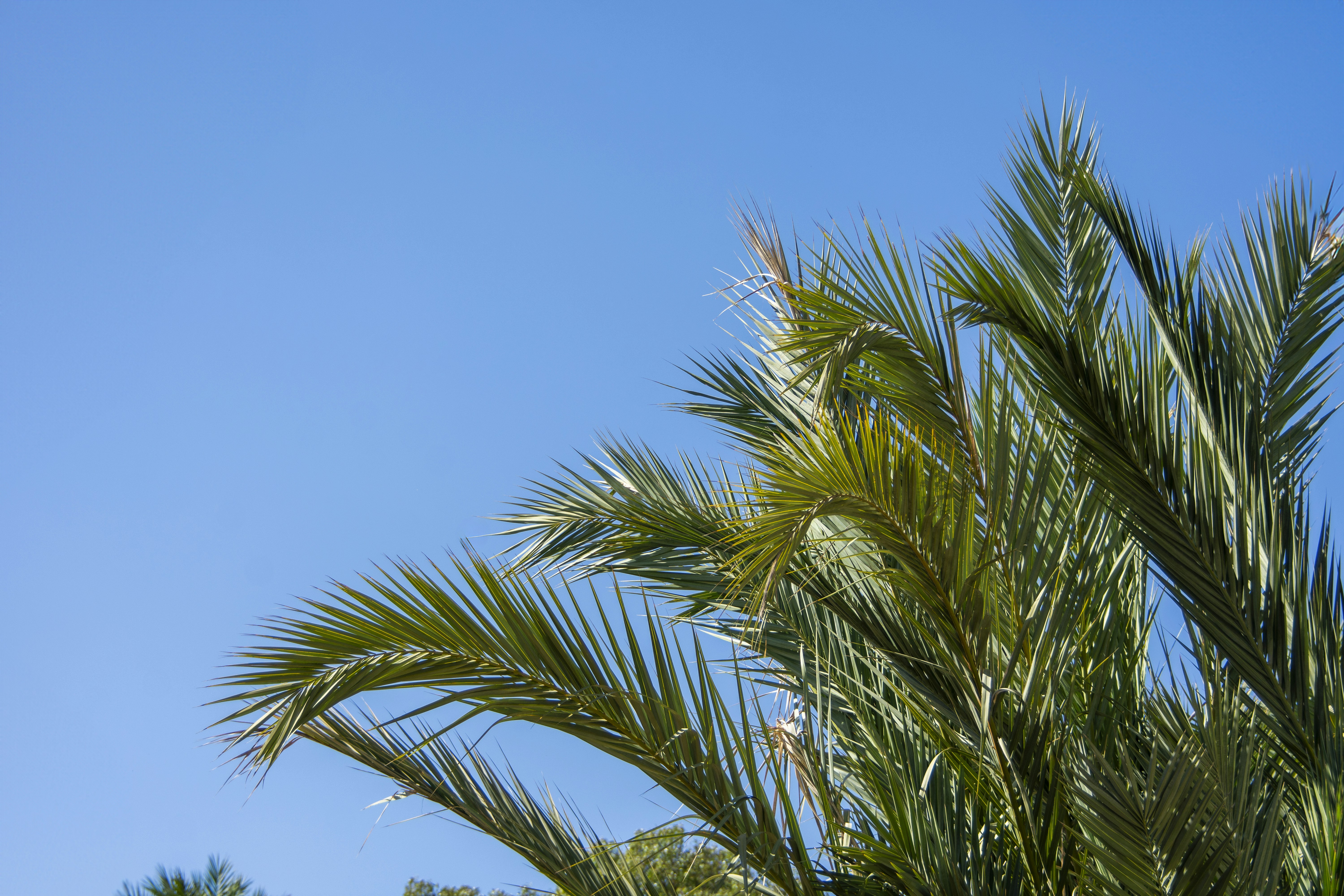 Photo by wedesignmarbella