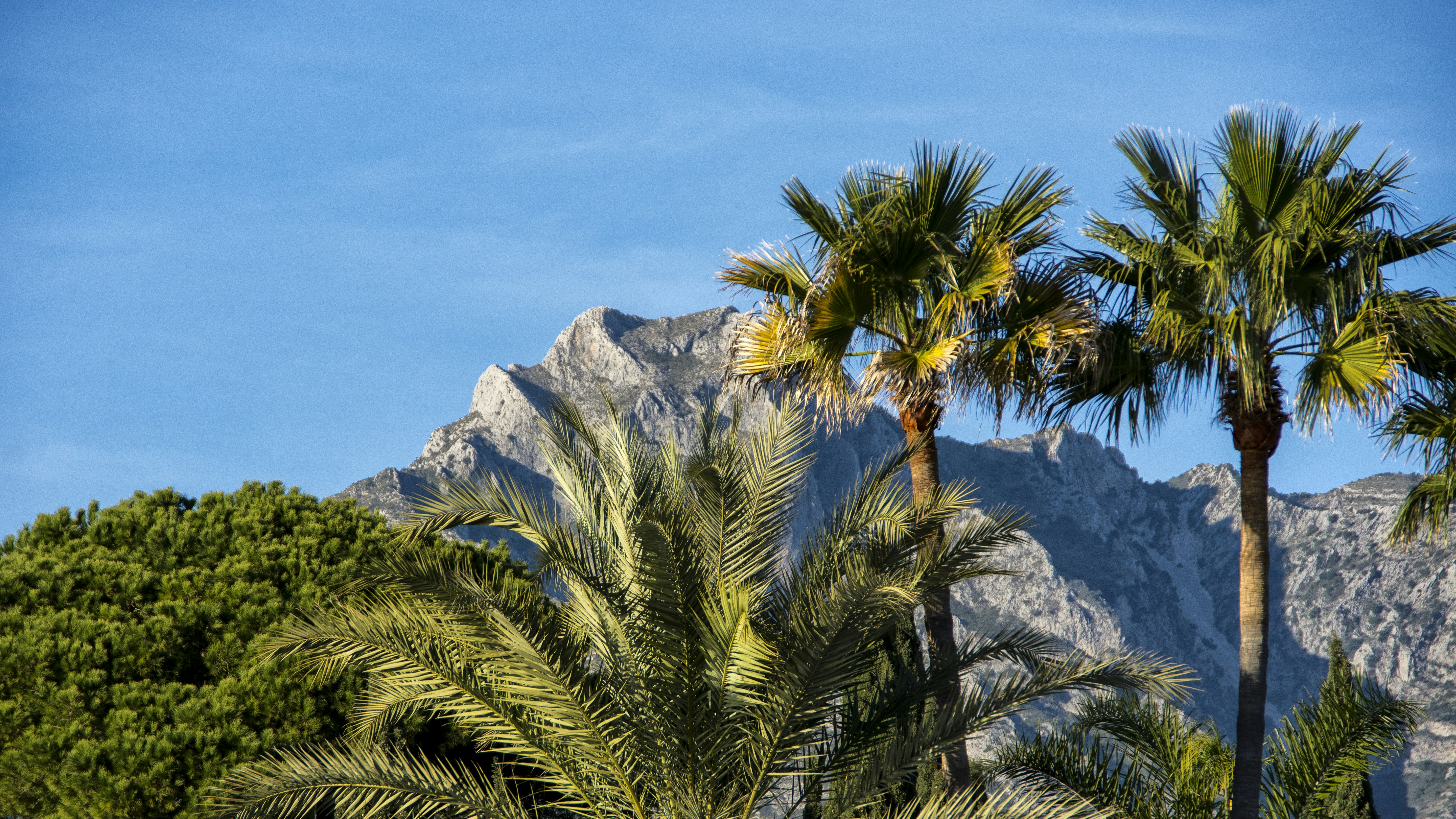 Que peut réellement acheter une famille de quatre personnes avec €2 000 par mois sur la Costa del Sol en 2026 — Costa del Sol, Spain | Mava Signature