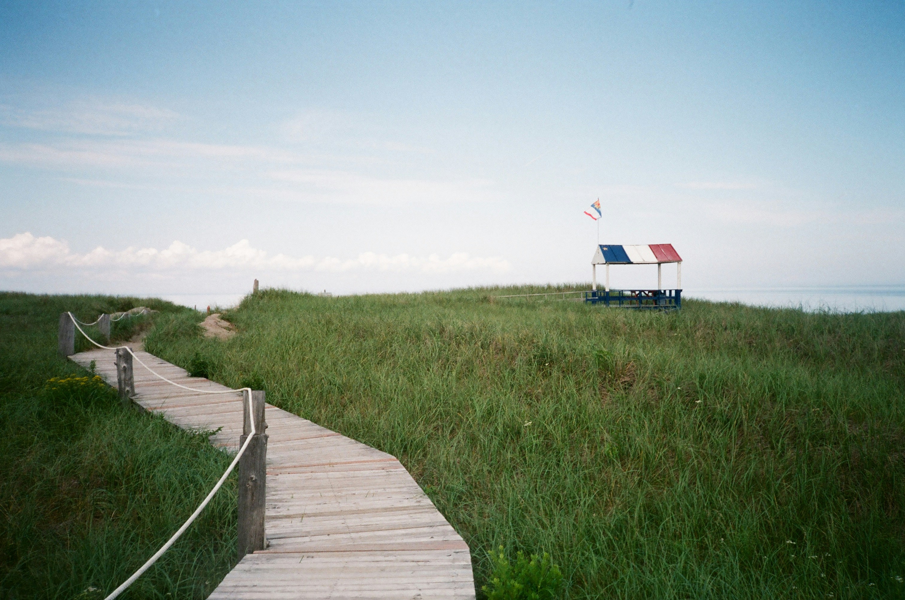 Wooden walkway through grassy dunes towards the ocean.