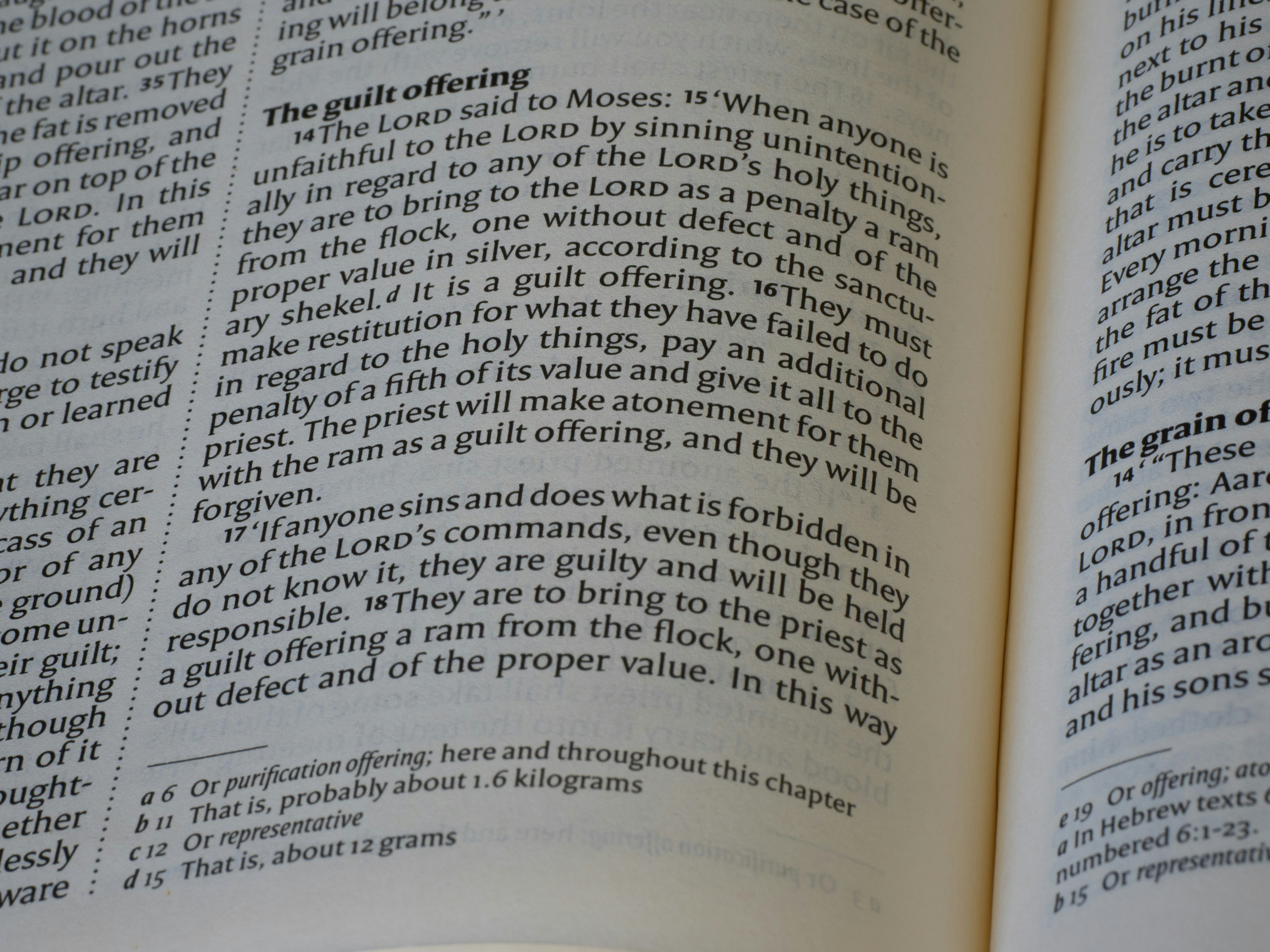 Nahaufnahme eines offenen Buches mit Text auf Seiten.