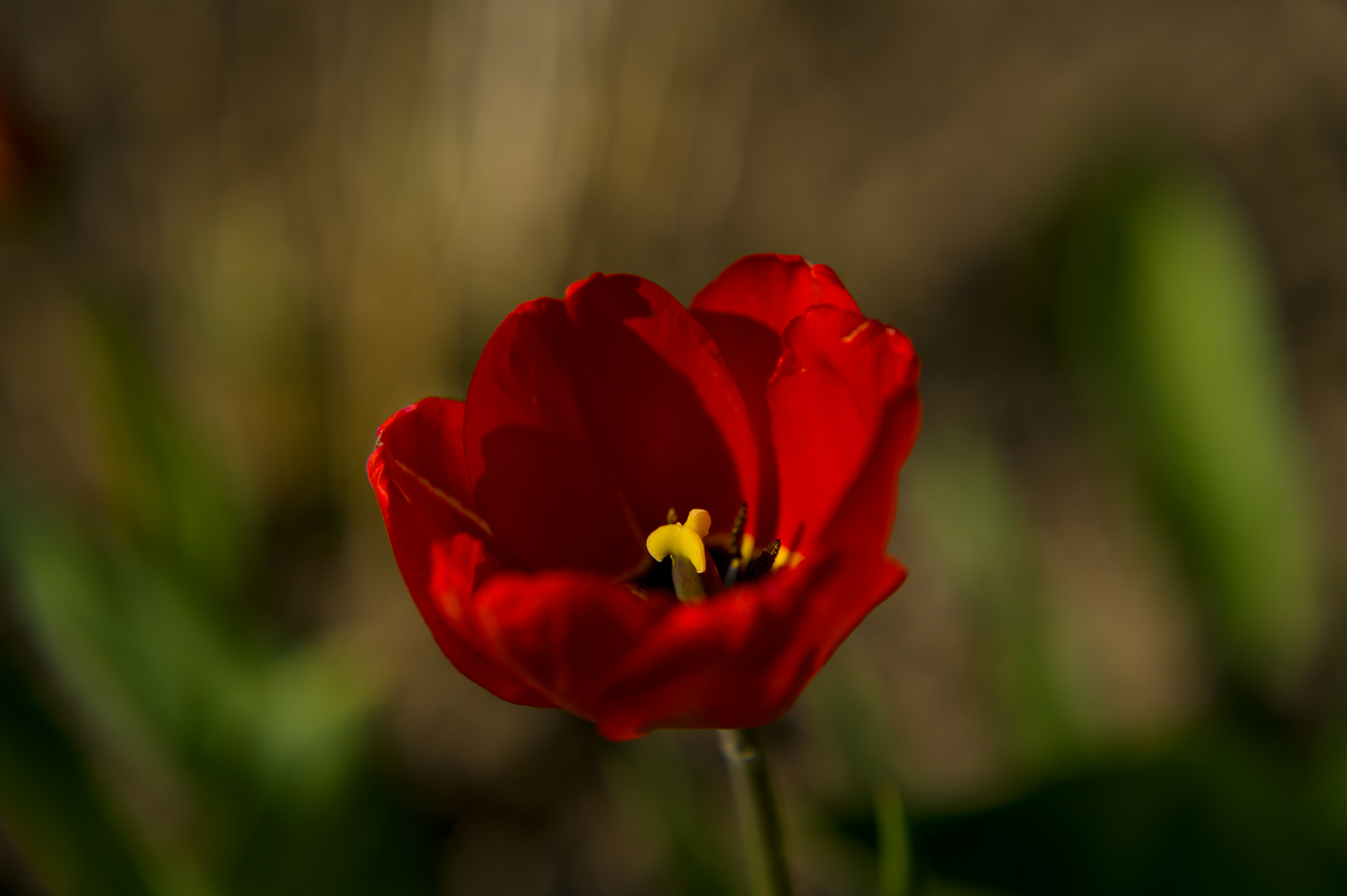 Photo by eizenkopp