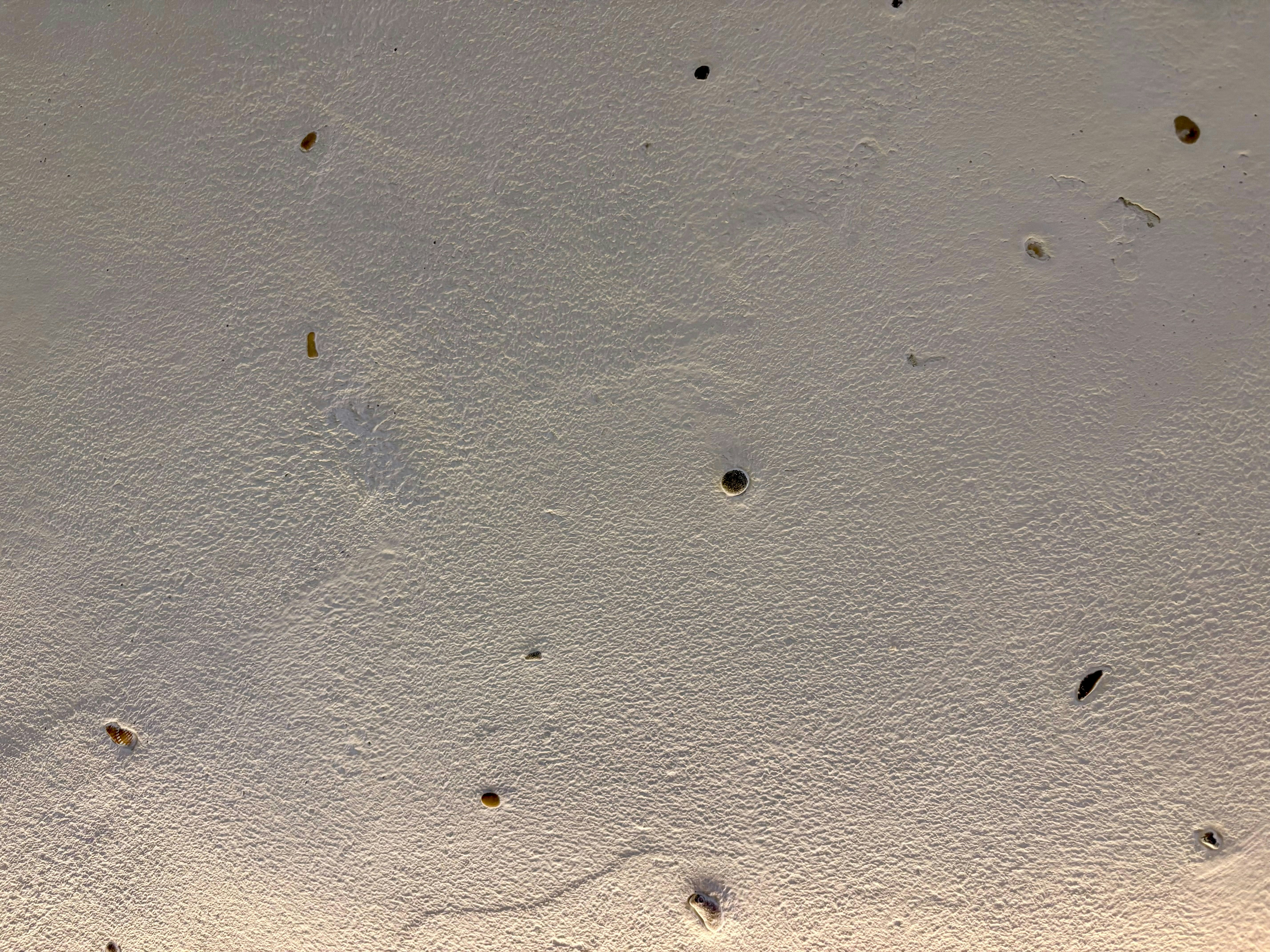 Mur blanc à texture rugueuse avec de petites imperfections sombres.